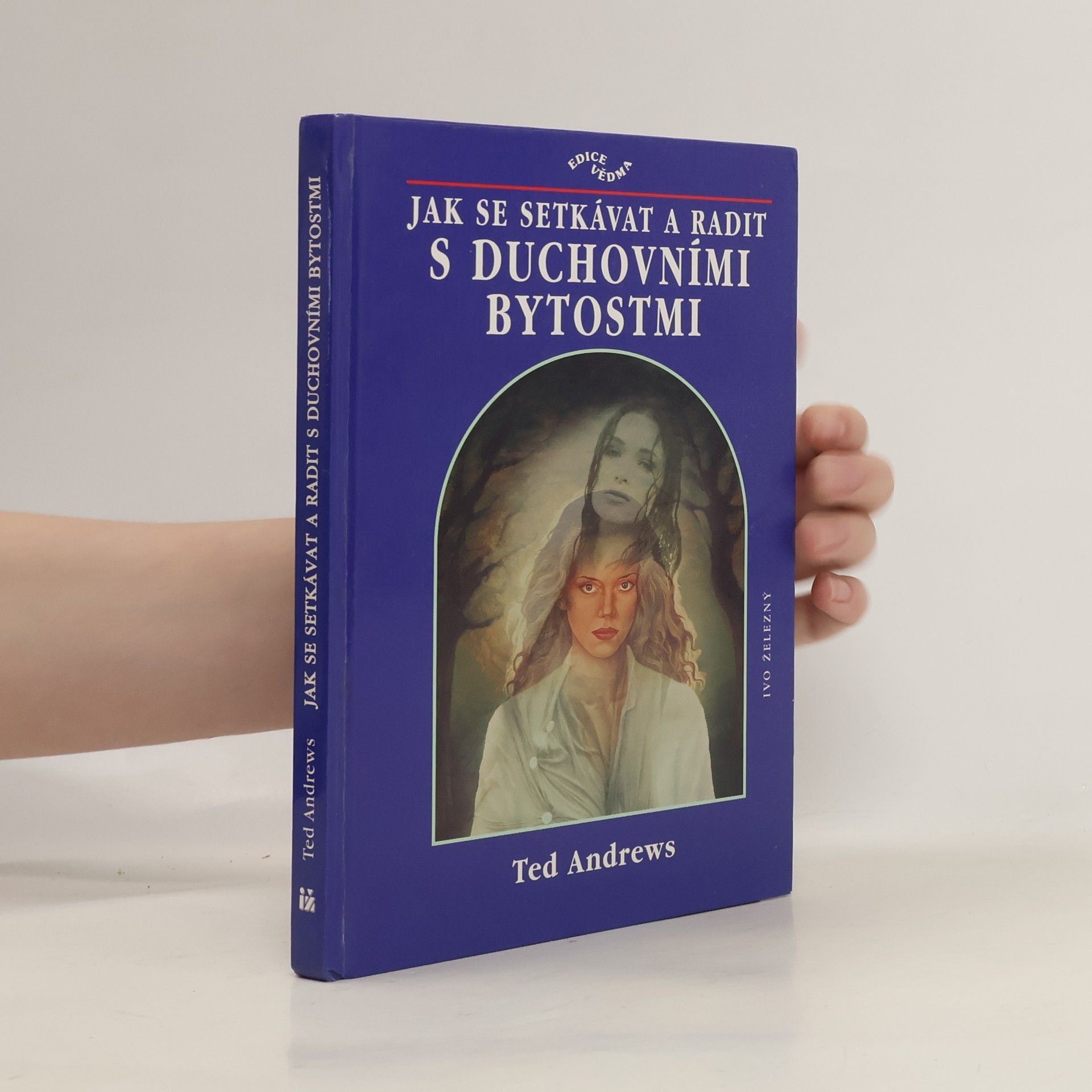 Ted Andrews Jak se setkávat a radit s duchovními bytostmi