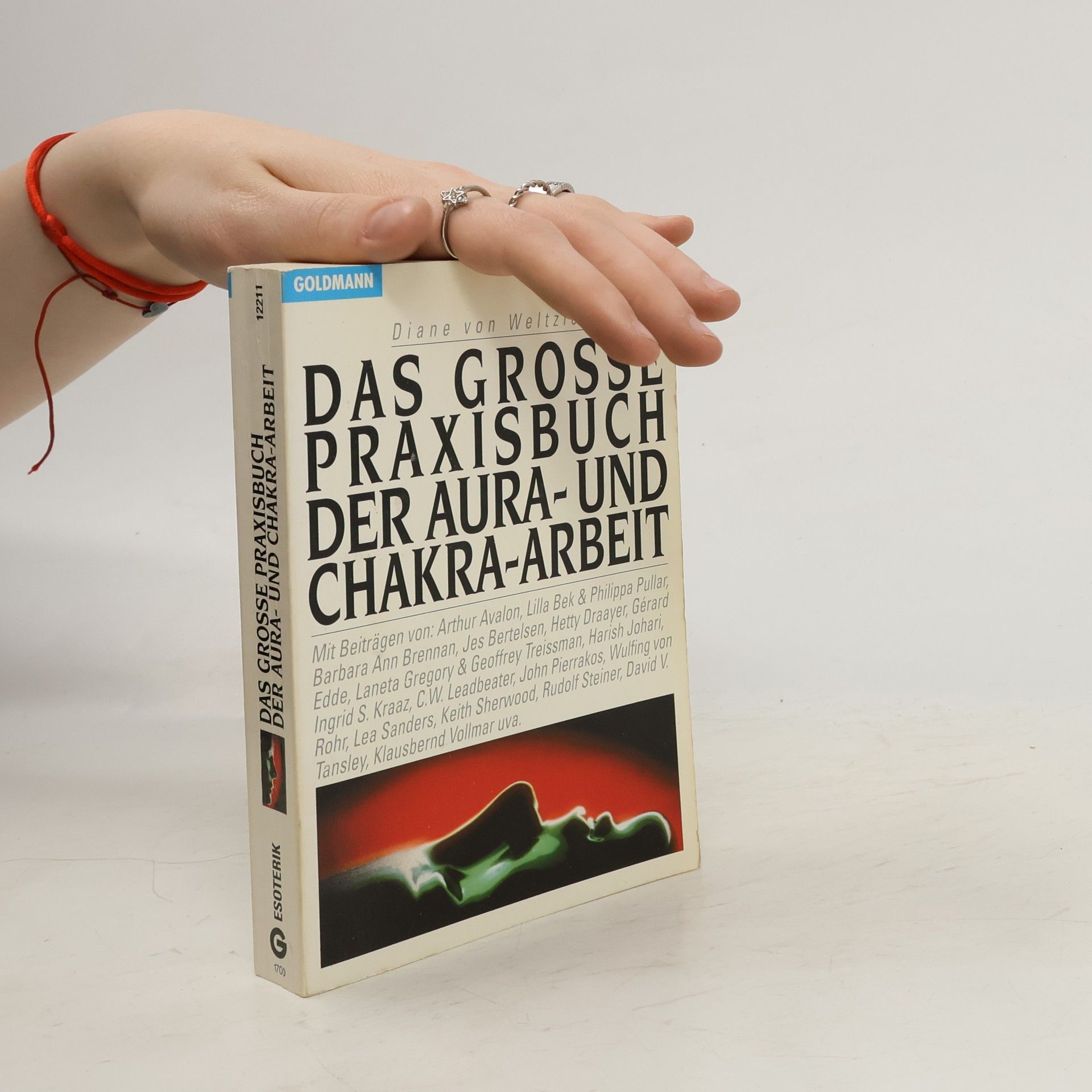 Diane von Weltzien Das grosse Praxisbuch der Aura- und Chakra-Arbeit