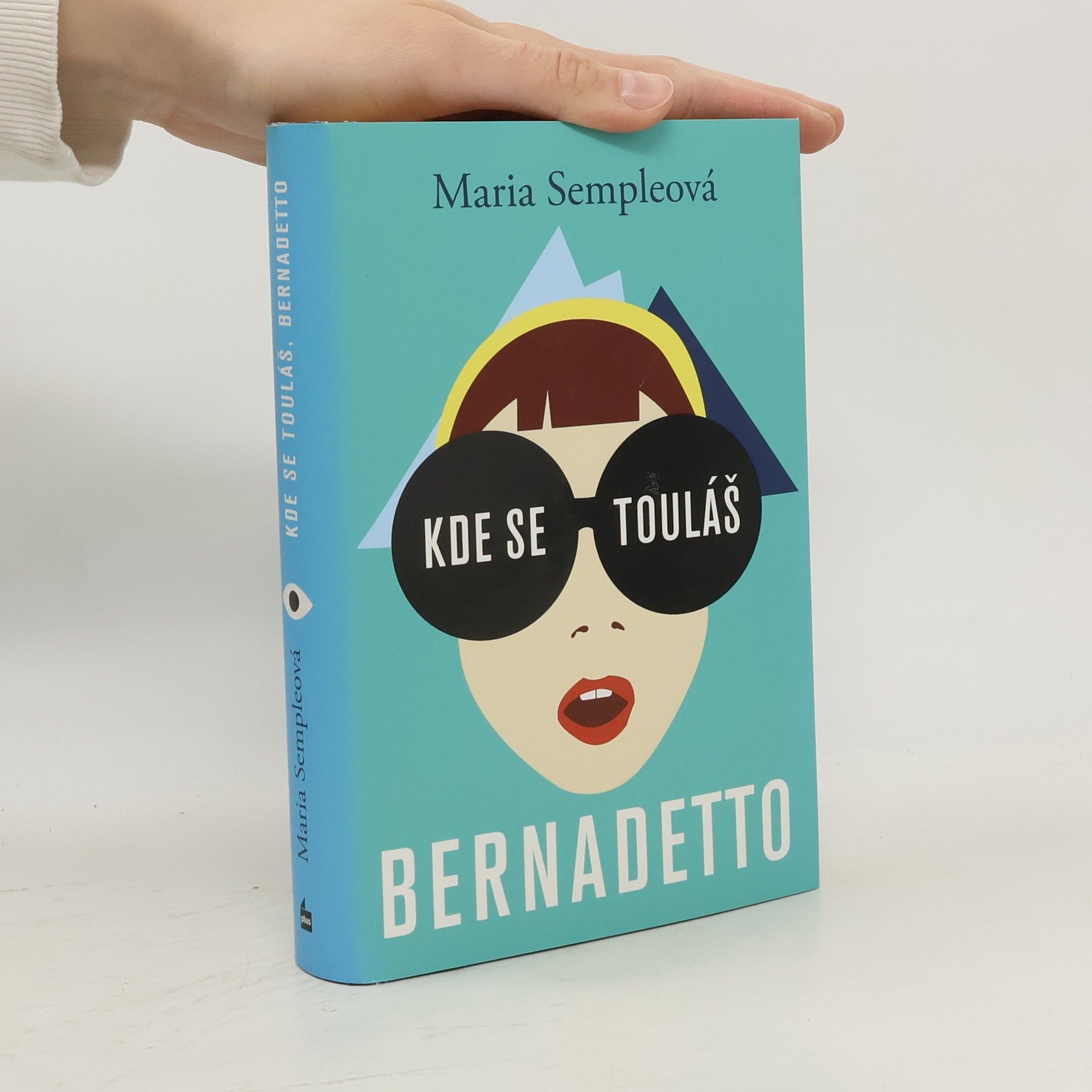 Maria Semple Kde se touláš, Bernadetto