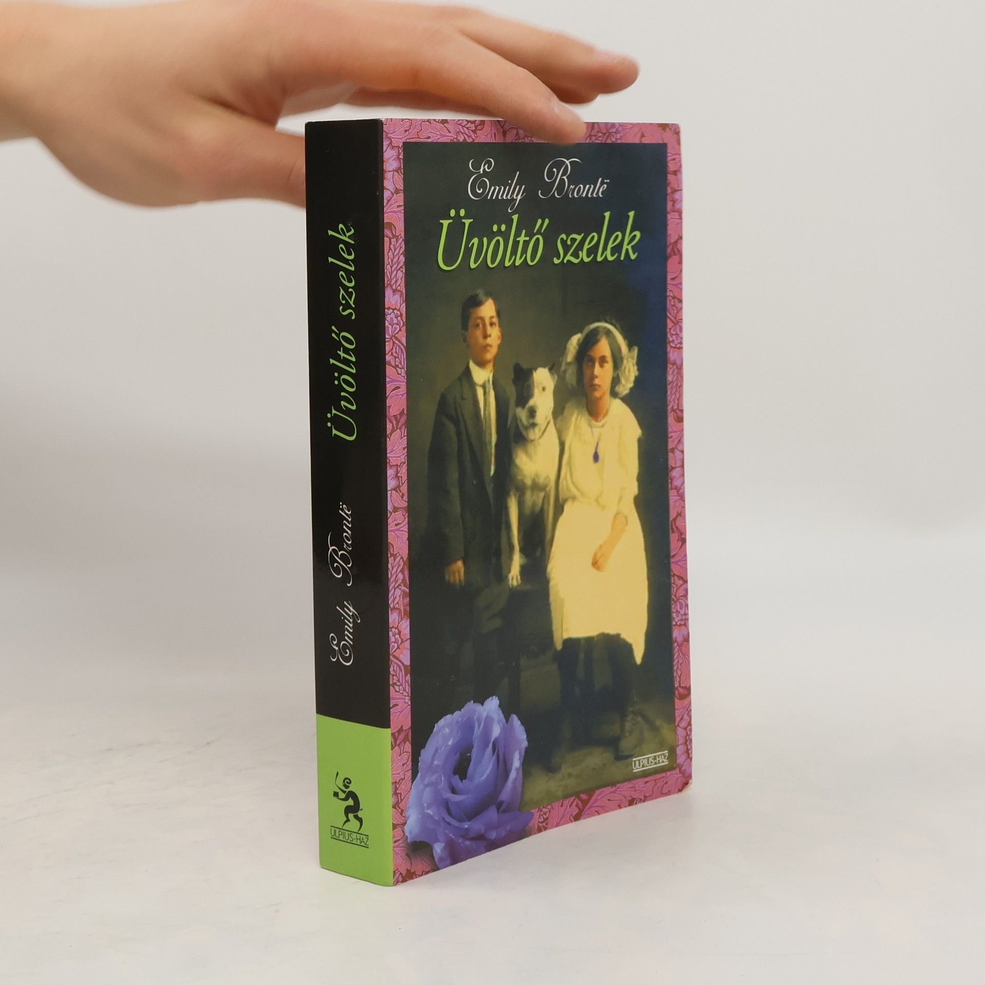 Emily Brontë Üvöltő szelek