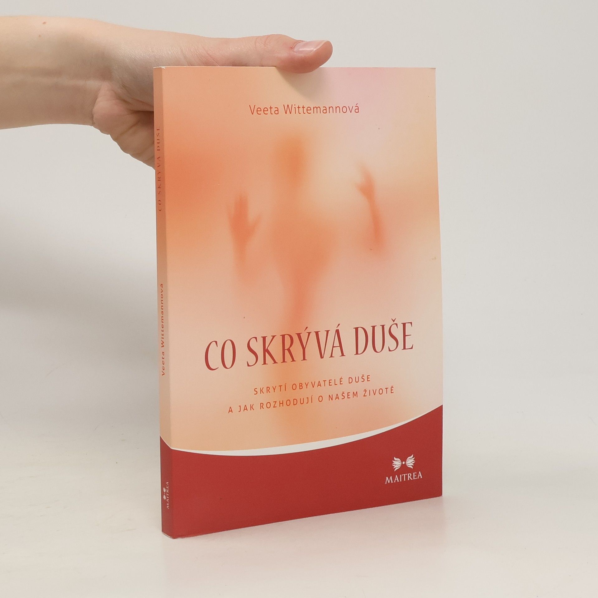 Veeta Wittemann Co skrývá duše : skrytí obyvatelé duše a jak rozhodují o našem životě