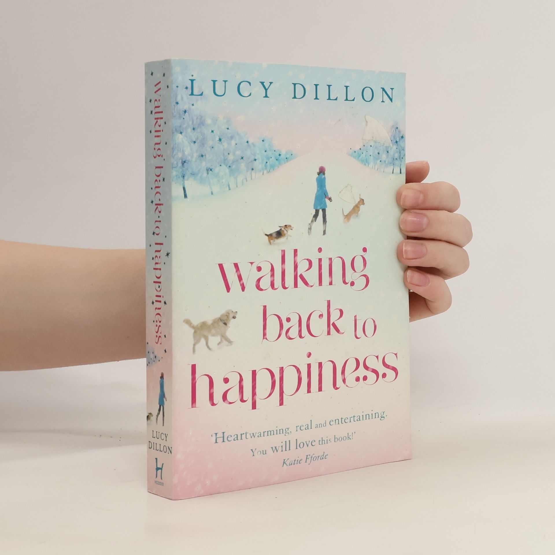 Lucy Dillon Walking Back to Happiness