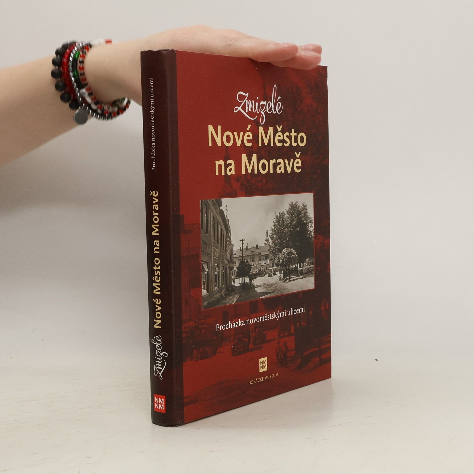 Collectif d'auteurs Zmizelé Nové Město na Moravě