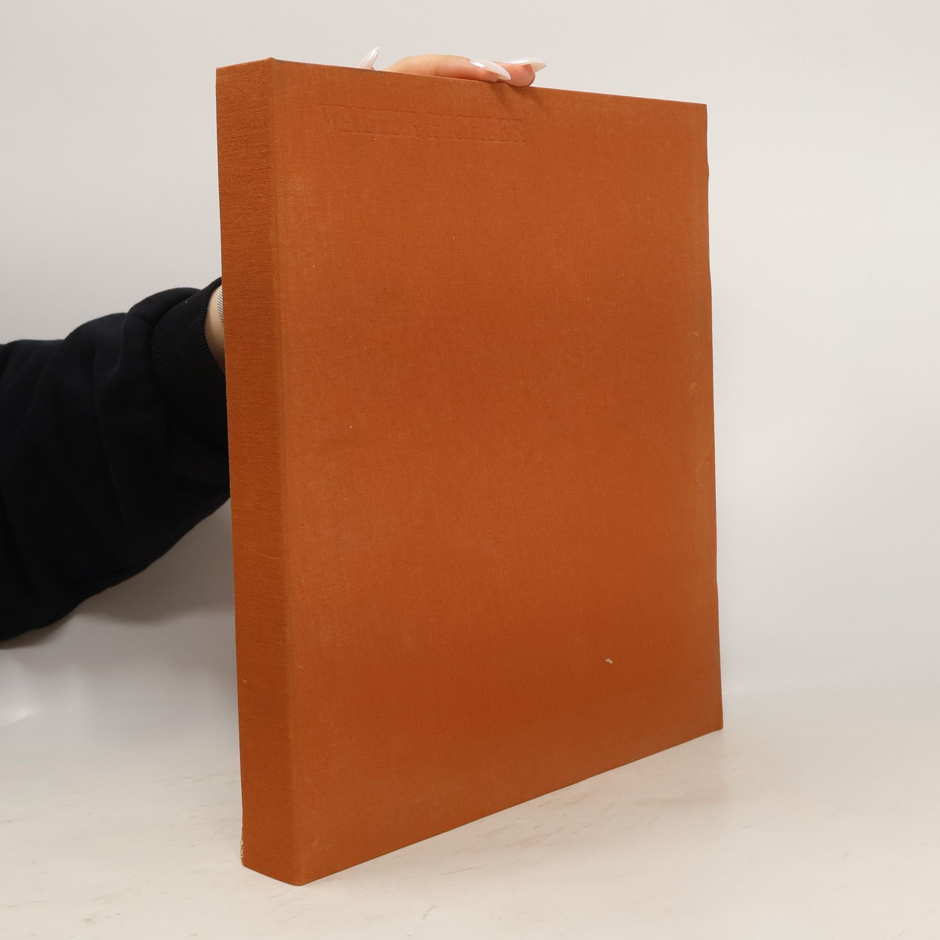 Walter Pichler Walter Pichler. Skulpturen Gebäude Projekte (nummeriertes Exemplar)