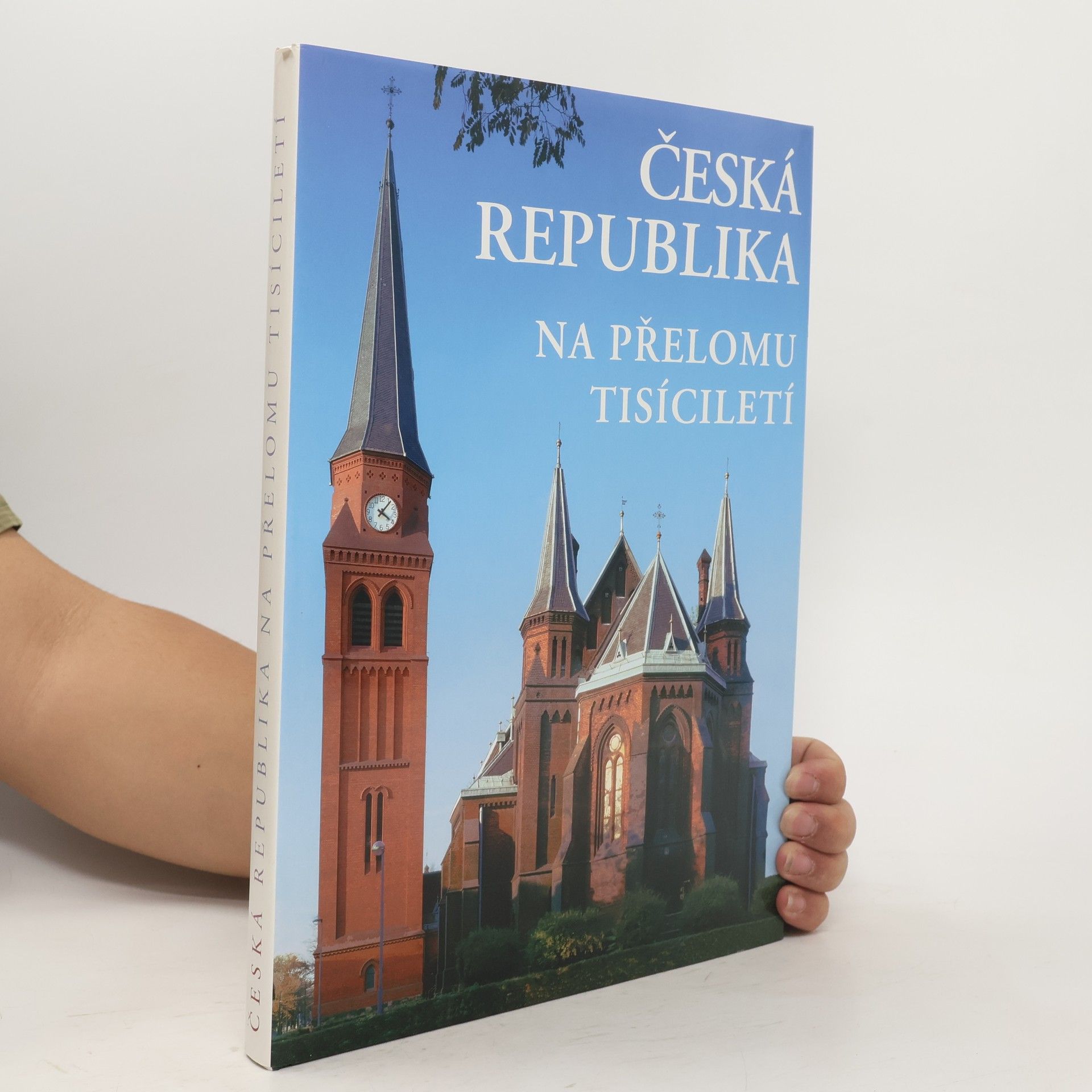 Zdenka Meixnerová Česká republika na přelomu tisíciletí