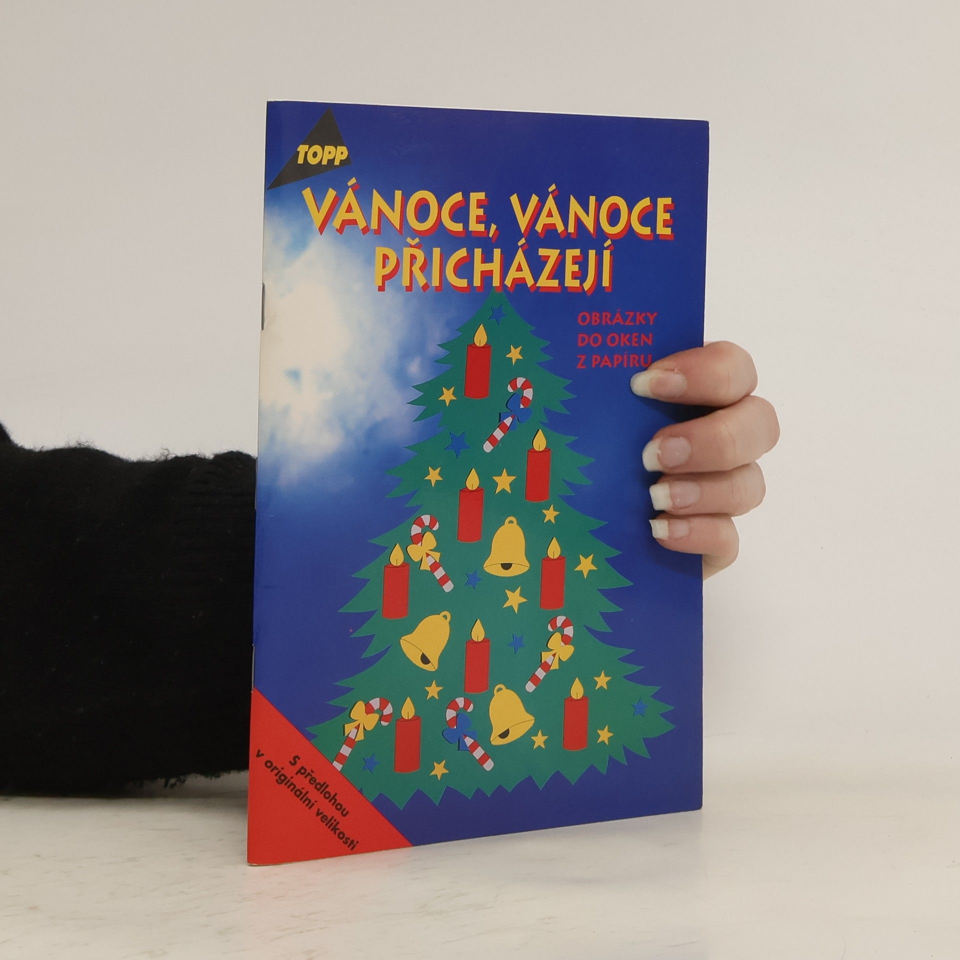 Angelika Kipp Vánoce, vánoce přicházejí : obrázky do oken z papíru