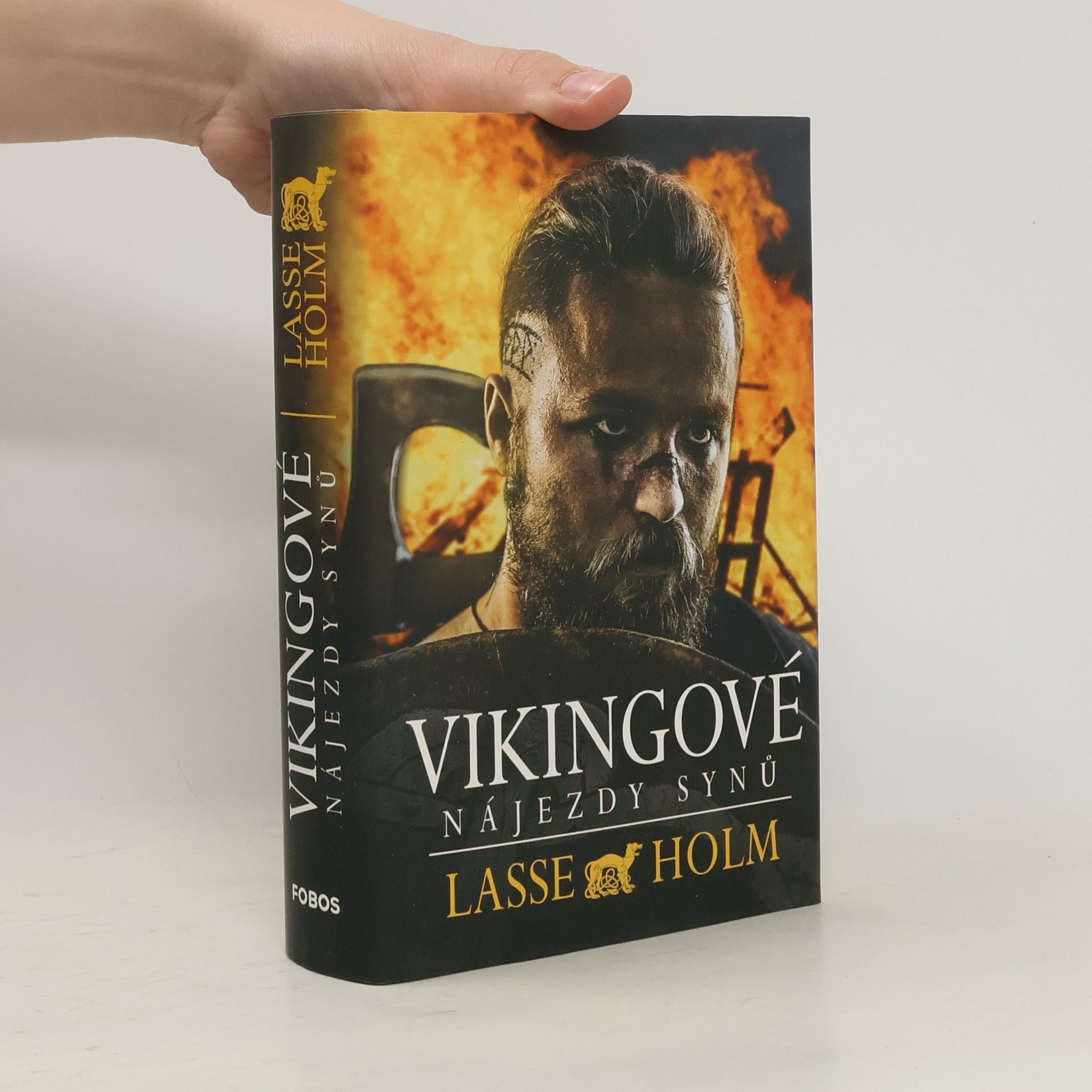 Lasse Holm Vikingové. Nájezdy synů