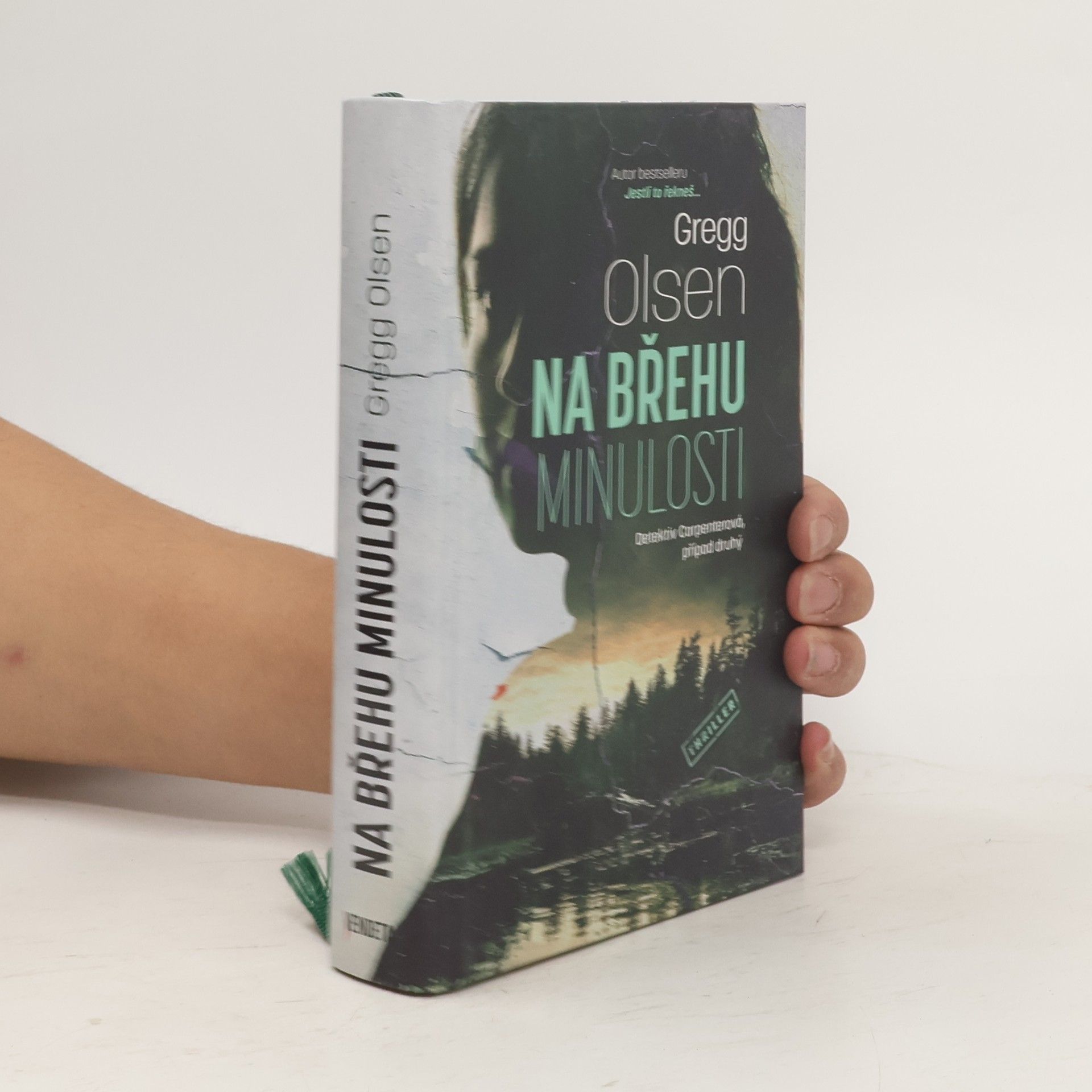 Gregg Olsen Na břehu minulosti
