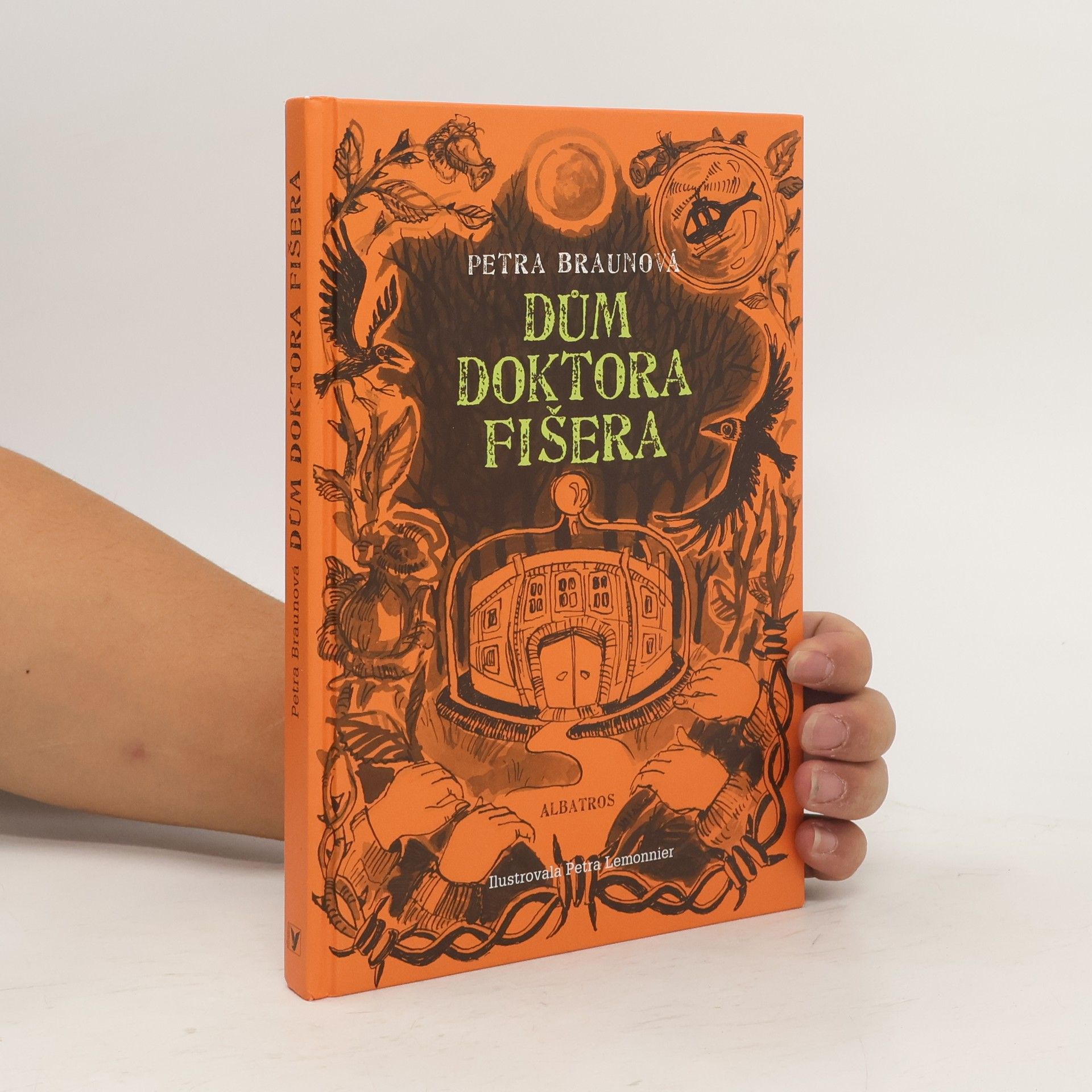 Petra Braun Groh Dům doktora Fišera