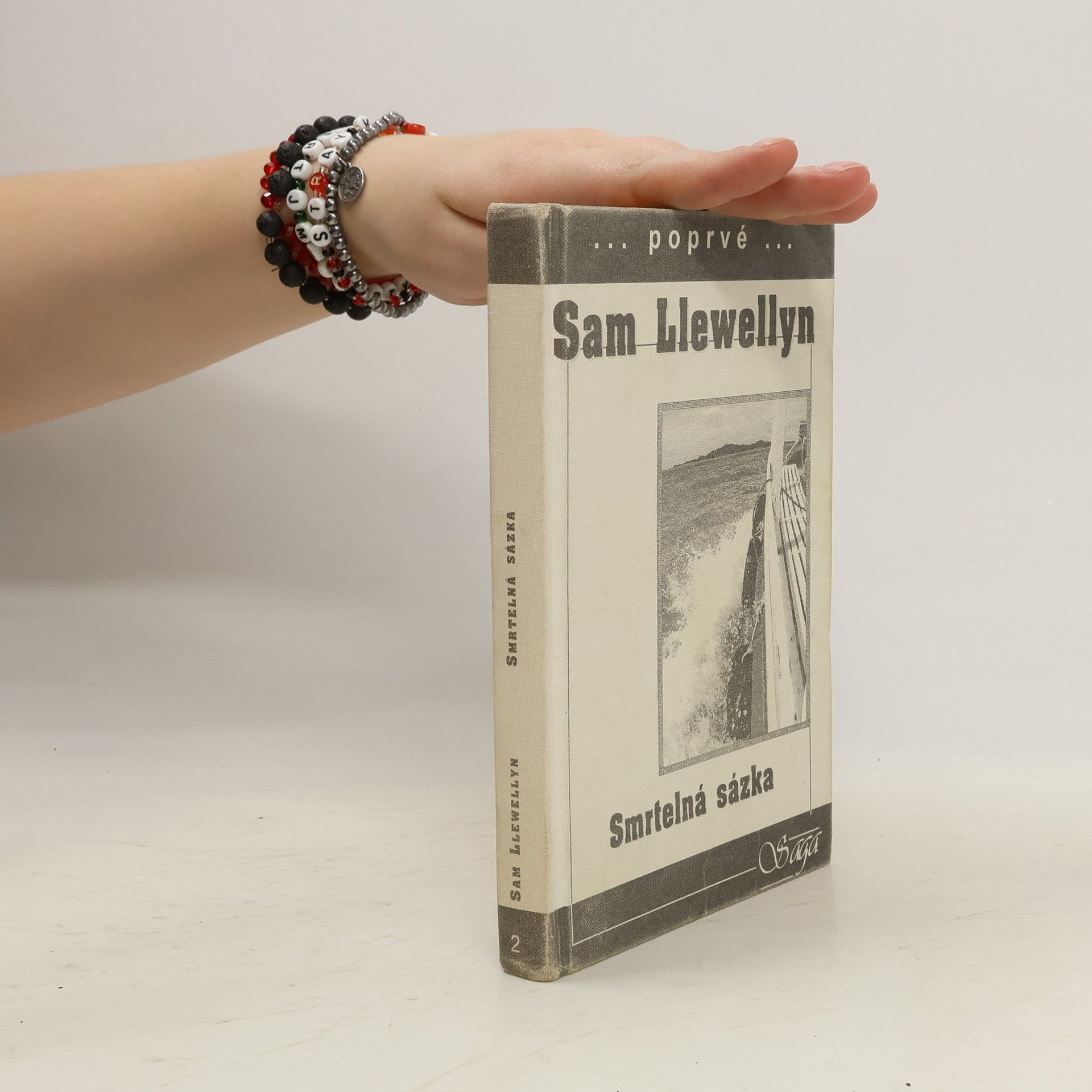 Sam Llewellyn Smrtelná sázka