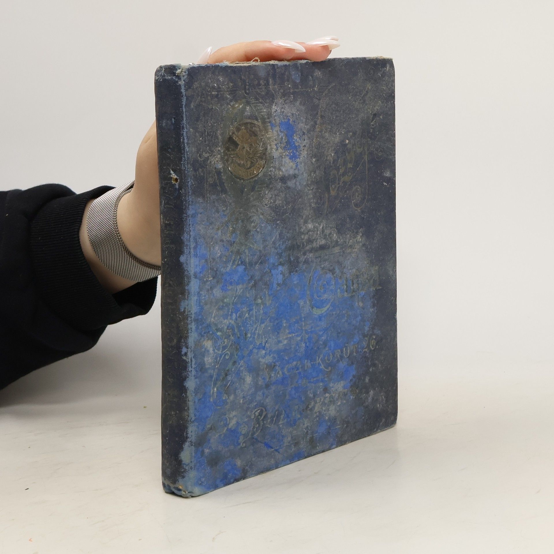 AA.VV. Feszmérők. Vizállás-mutató készülékek