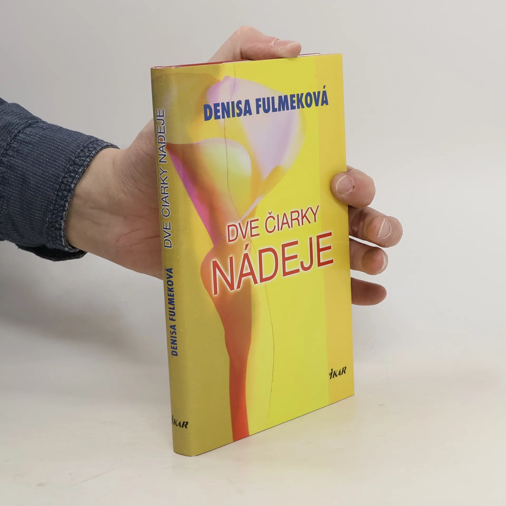 Dve čiarky nádeje | Kniha | Denisa Fulmeková