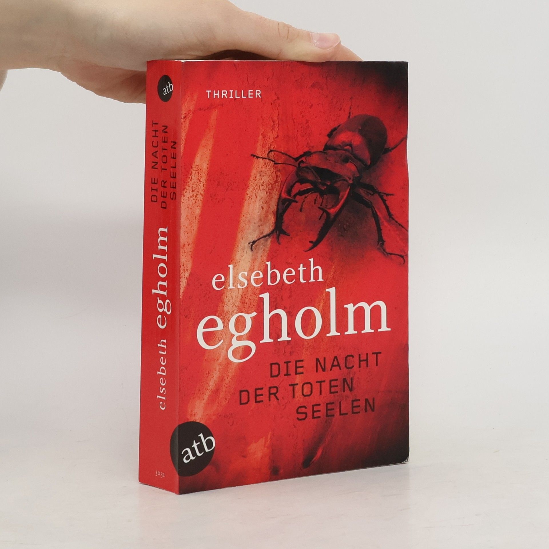 Elsebeth Egholm Die Nacht der toten Seelen