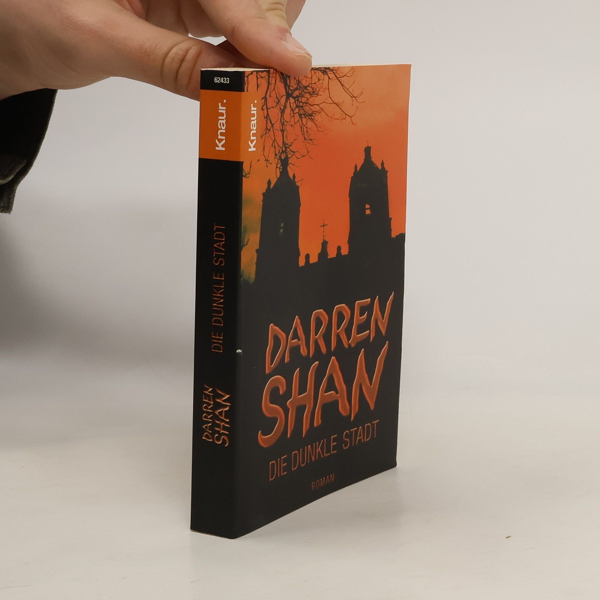 Darren O. Shaughnessy Die dunkle Stadt