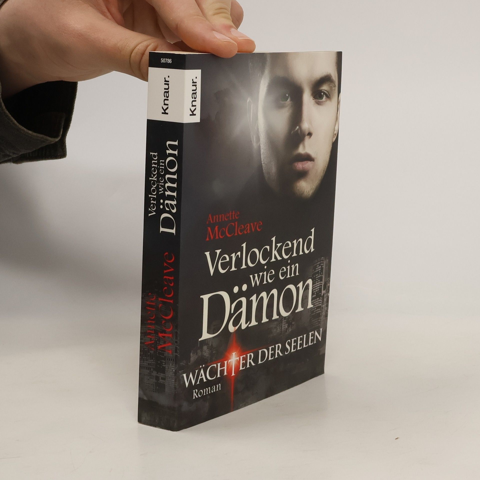 Annette McCleave Verlockend wie ein Dämon