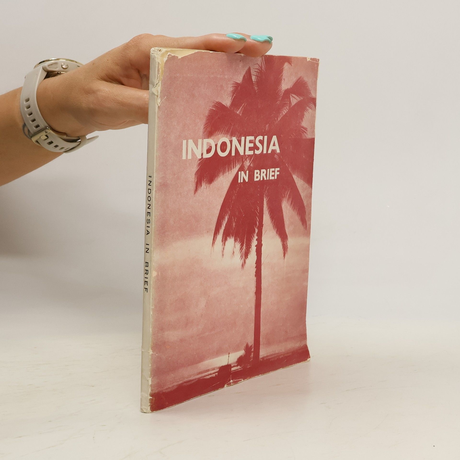 Susi S. Prawirawinata Indonesia in Brief