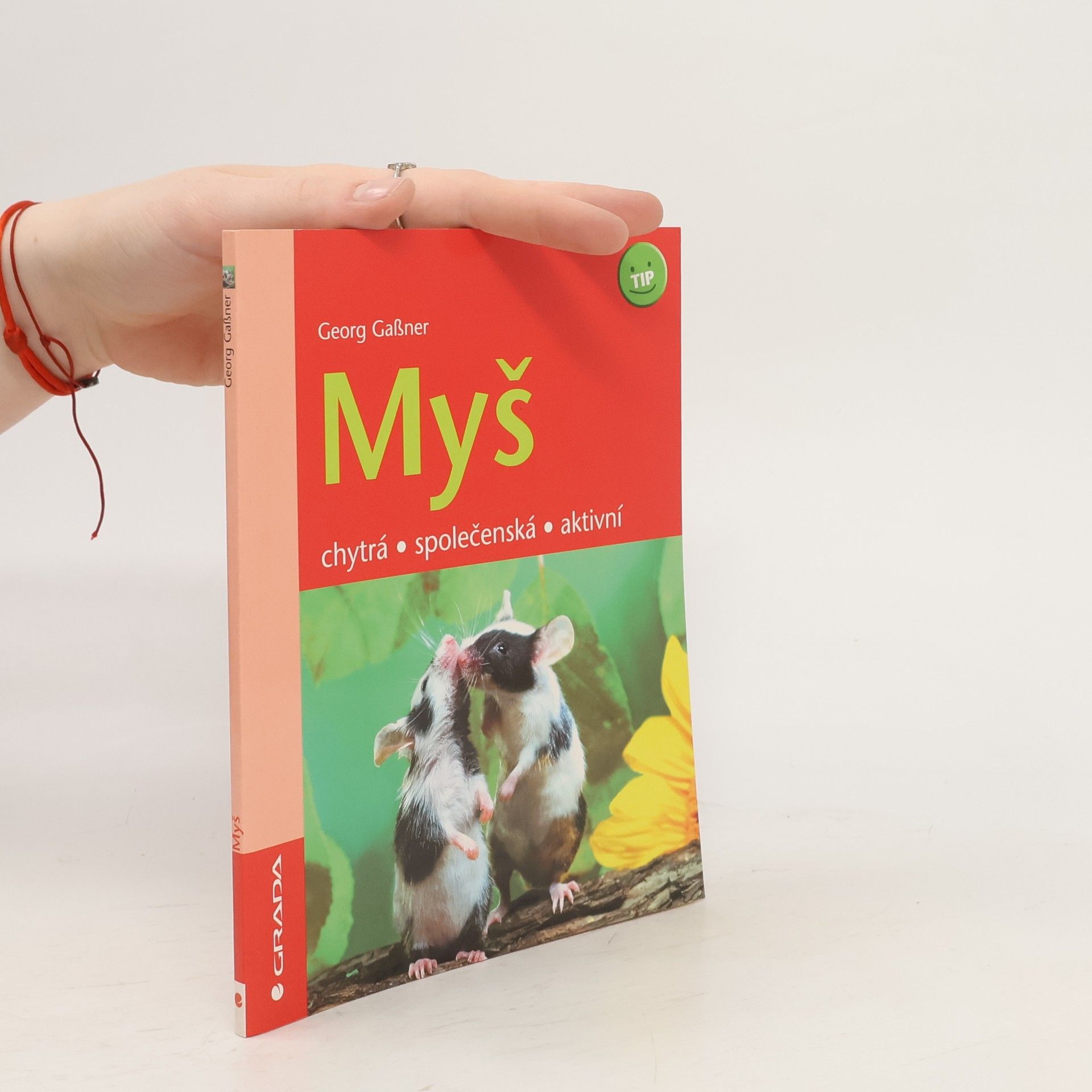 Georg Gaßner Myš : chytrá, společenská, aktivní