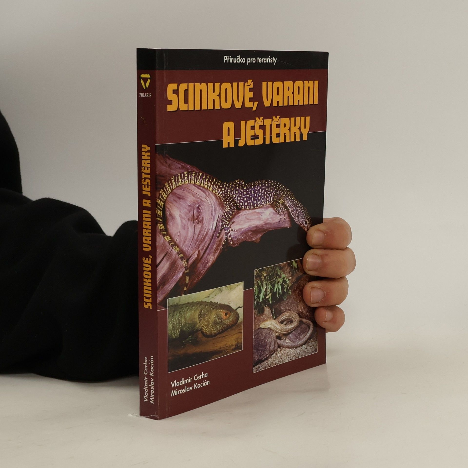 Scinkové, varani a ještěrky