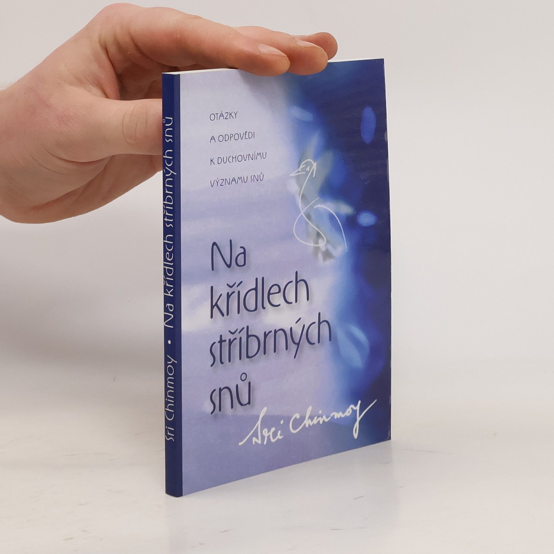 Sri Chinmoy Na křídlech stříbrných snů