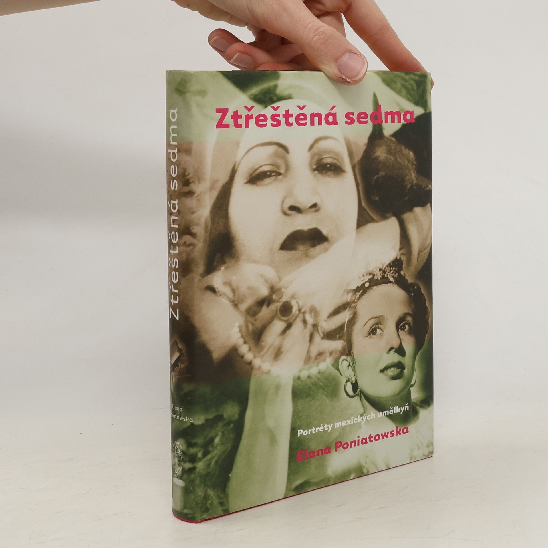 Elena Poniatowska Ztřeštěná sedma. Portréty mexických umělkyň