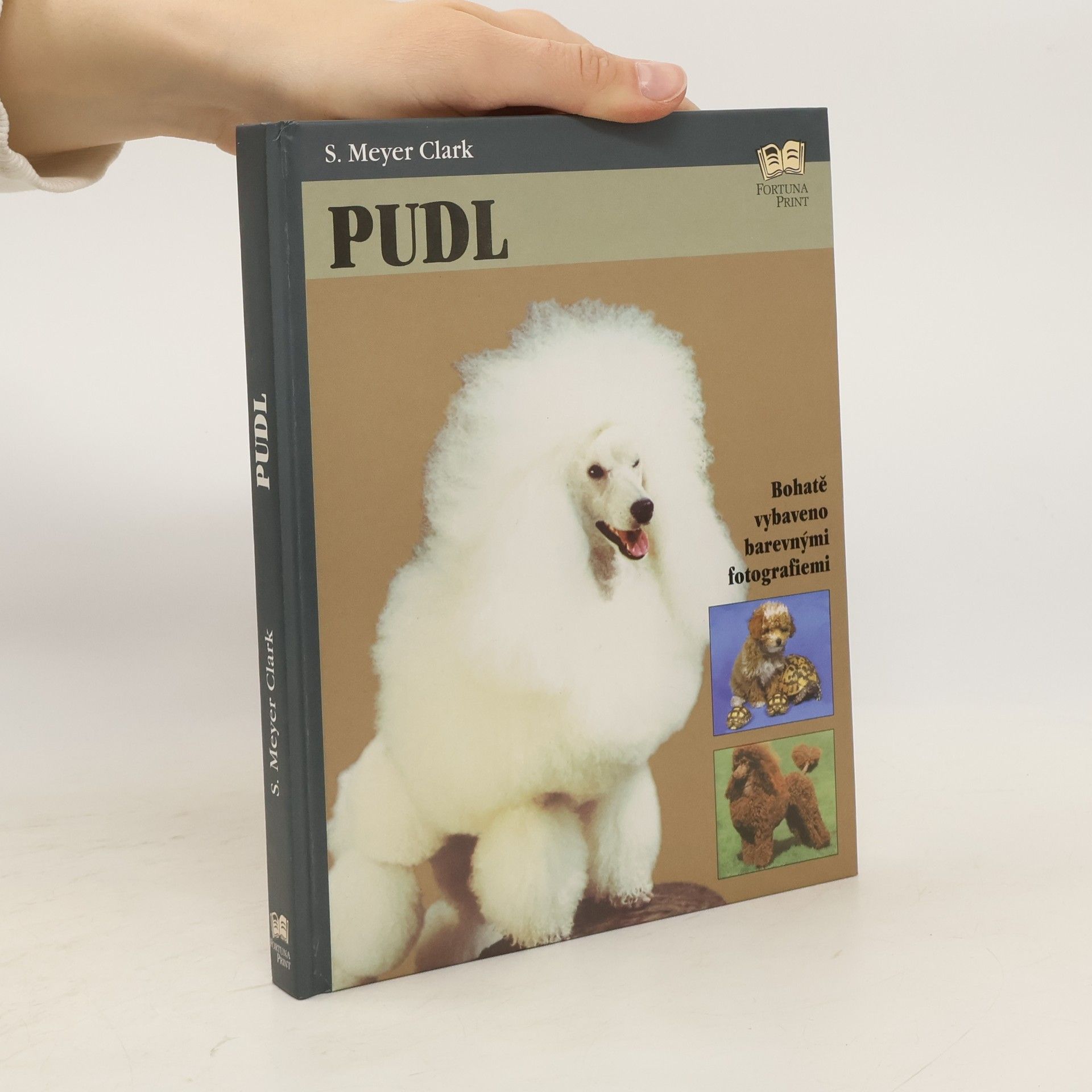 S. Mayer Clark Pudl