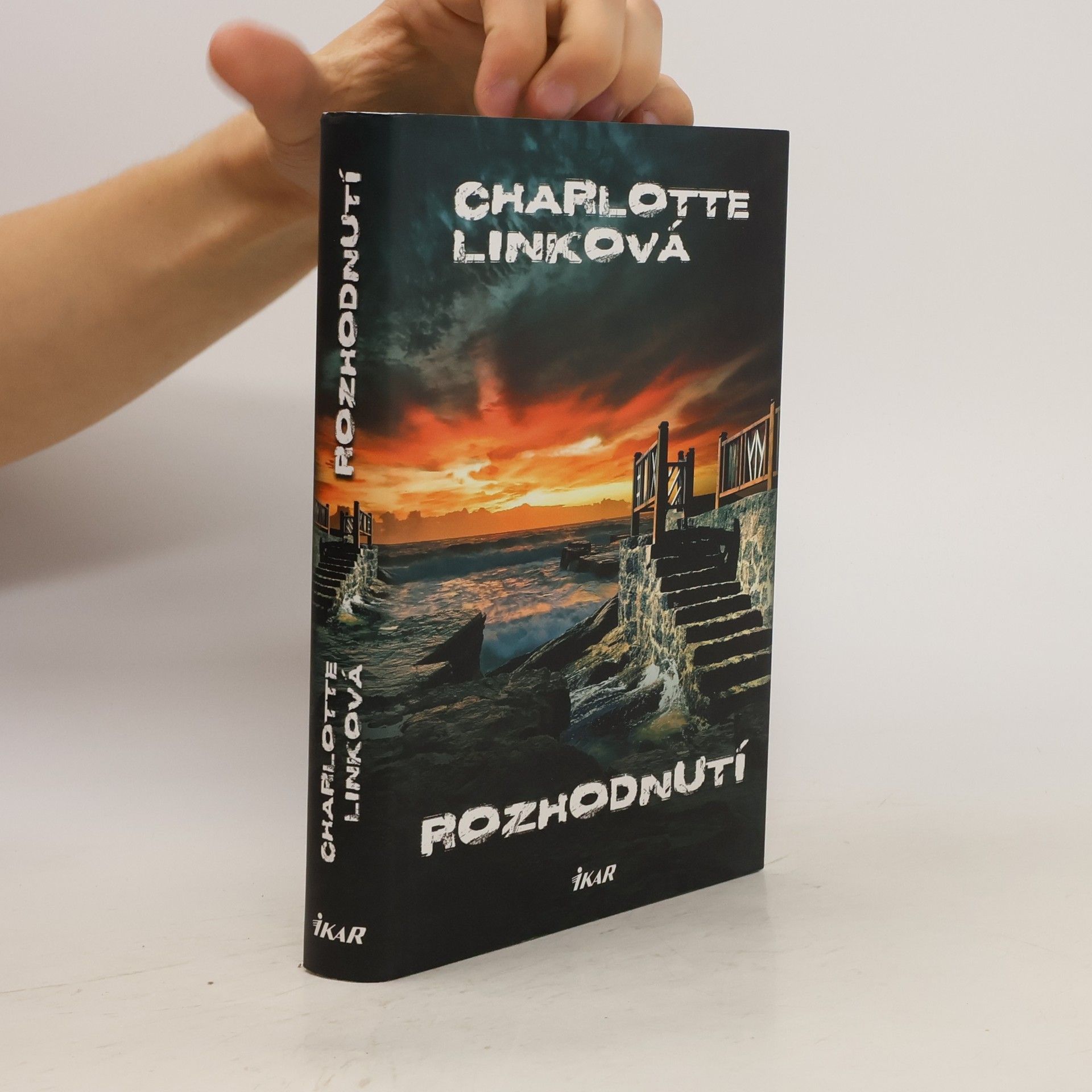 Charlotte Link Rozhodnutí