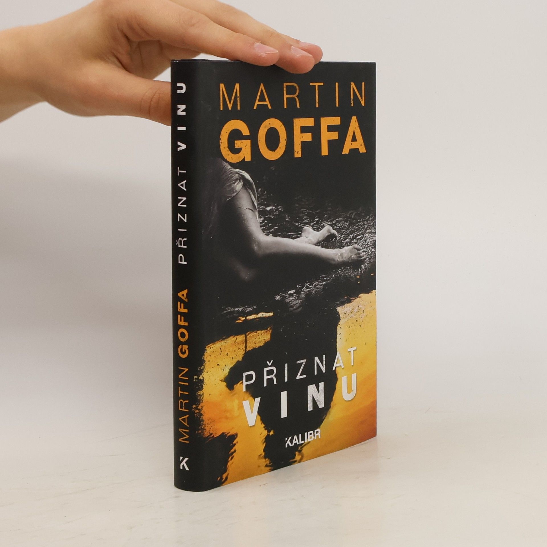 Martin Goffa Přiznat vinu