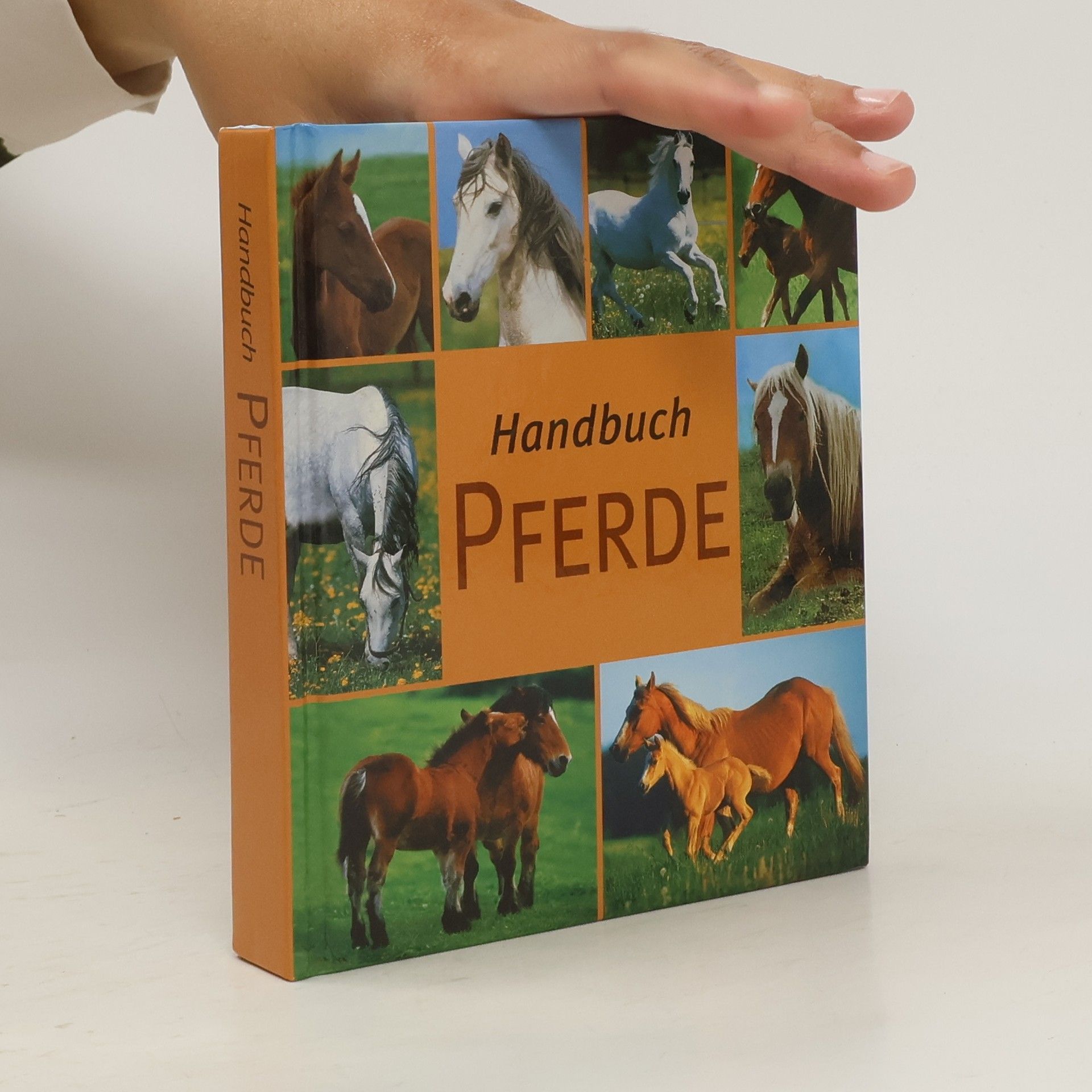 kolektiv Handbuch Pferde