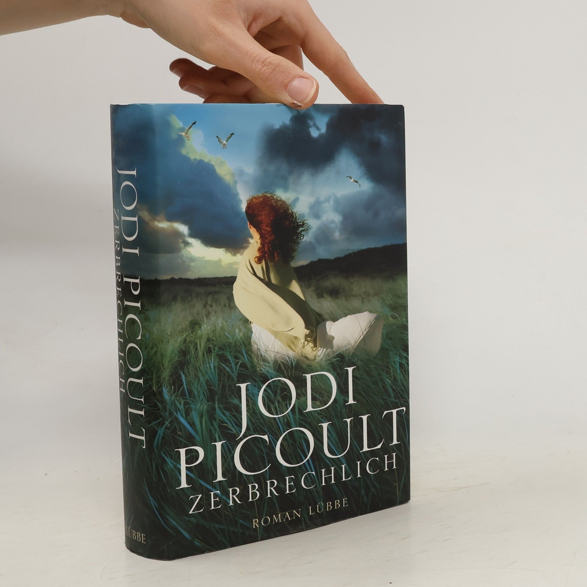 Jodi Picoult Zerbrechlich