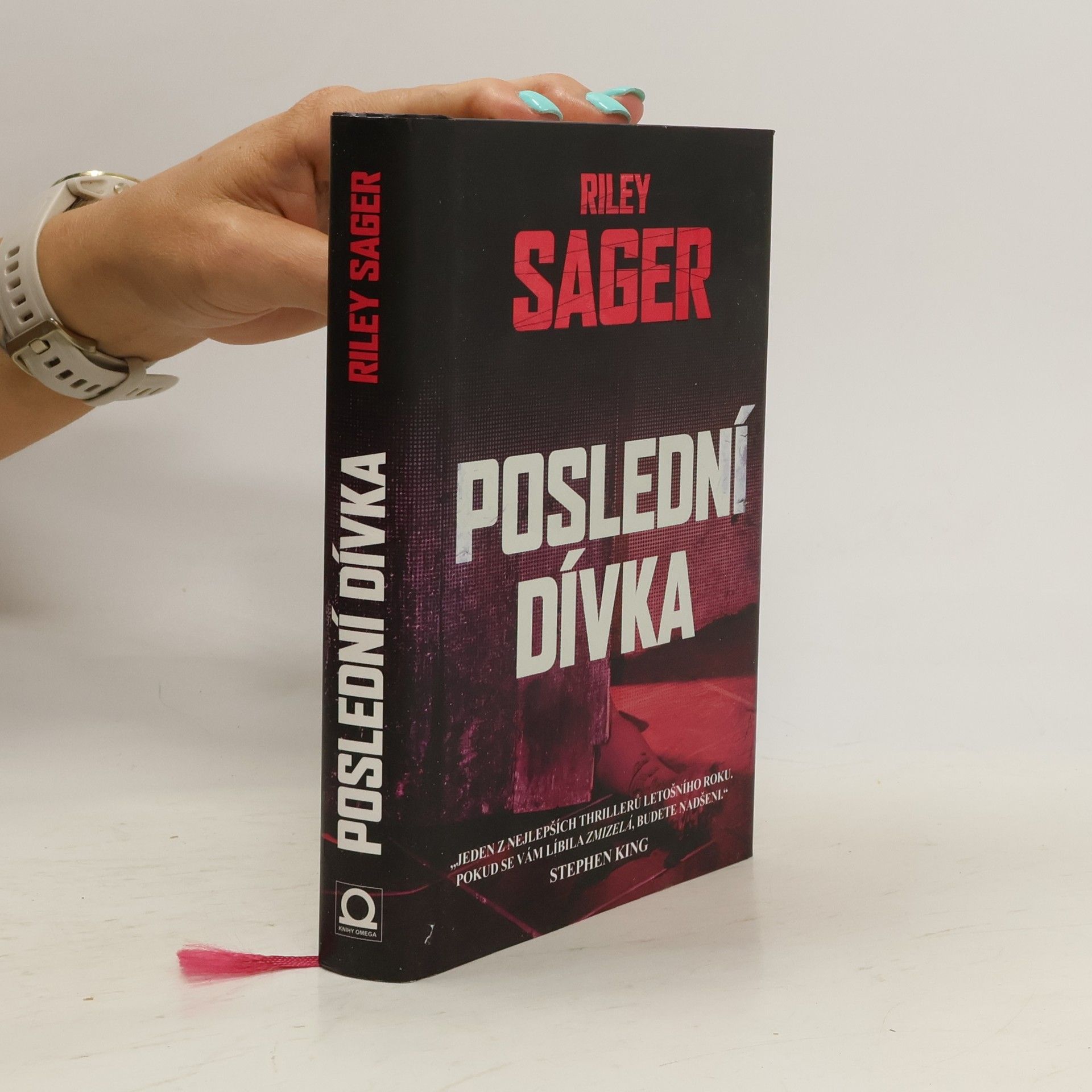 Todd Ritter Poslední dívka
