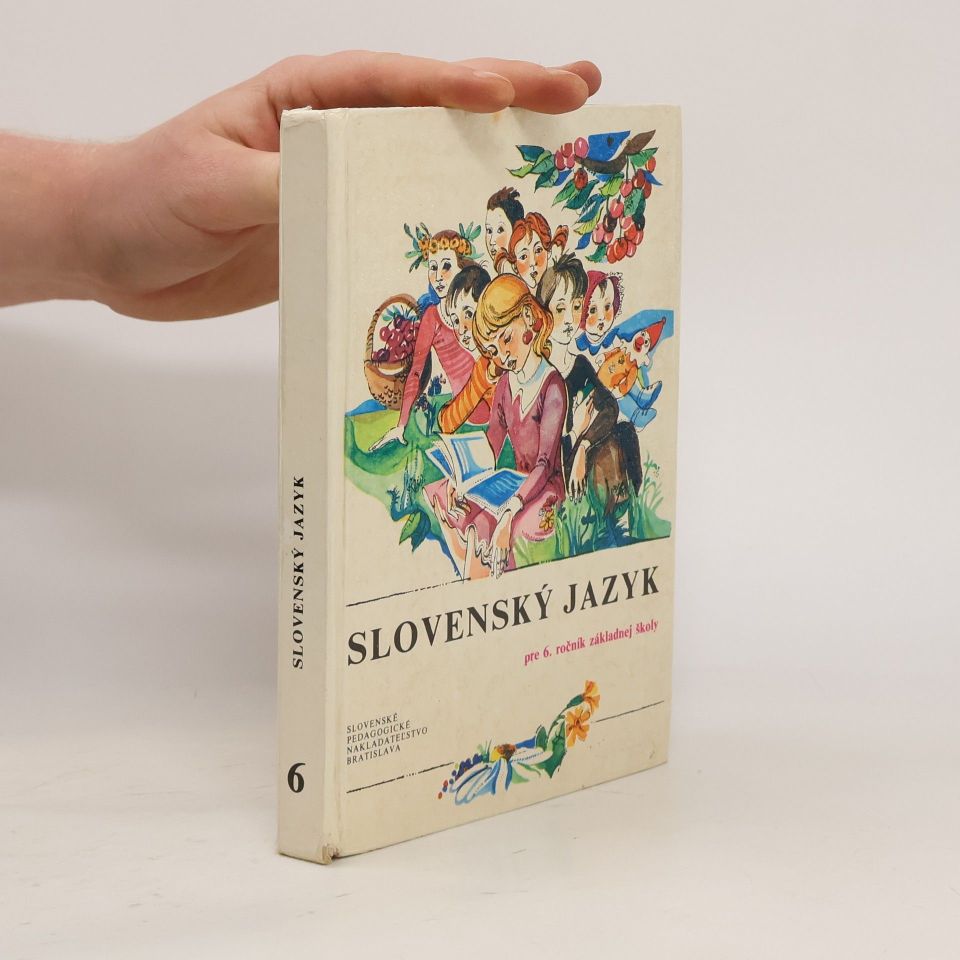 Various authors Slovenský jazyk pre 6. ročník základnej školy