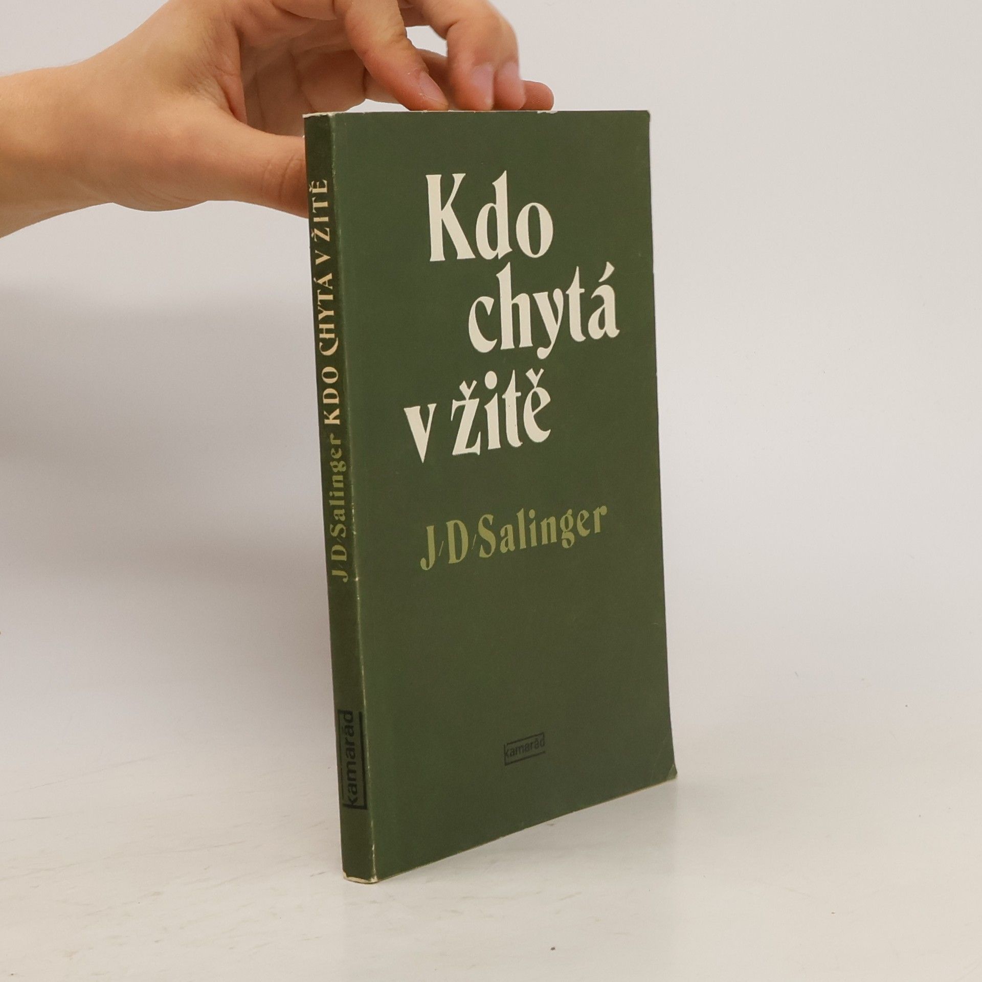 J. D. Salinger Kdo chytá v žitě