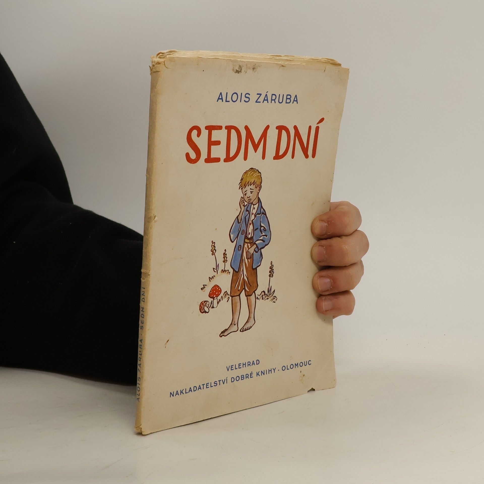 Alois Záruba Sedm dní