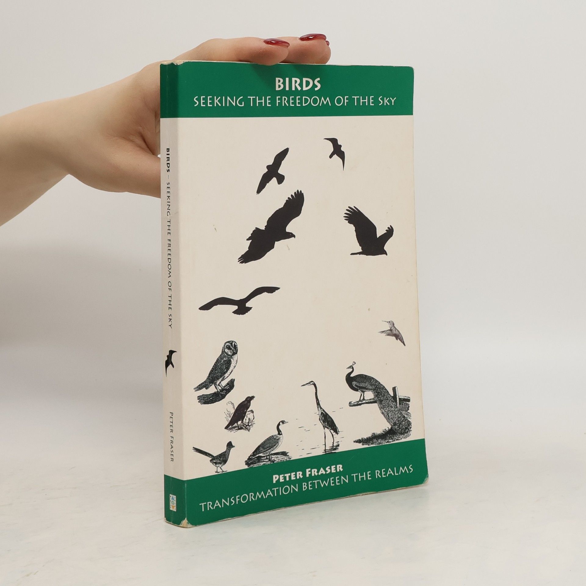 Peter Fraser Birds Seeking the Freedom of the Sky