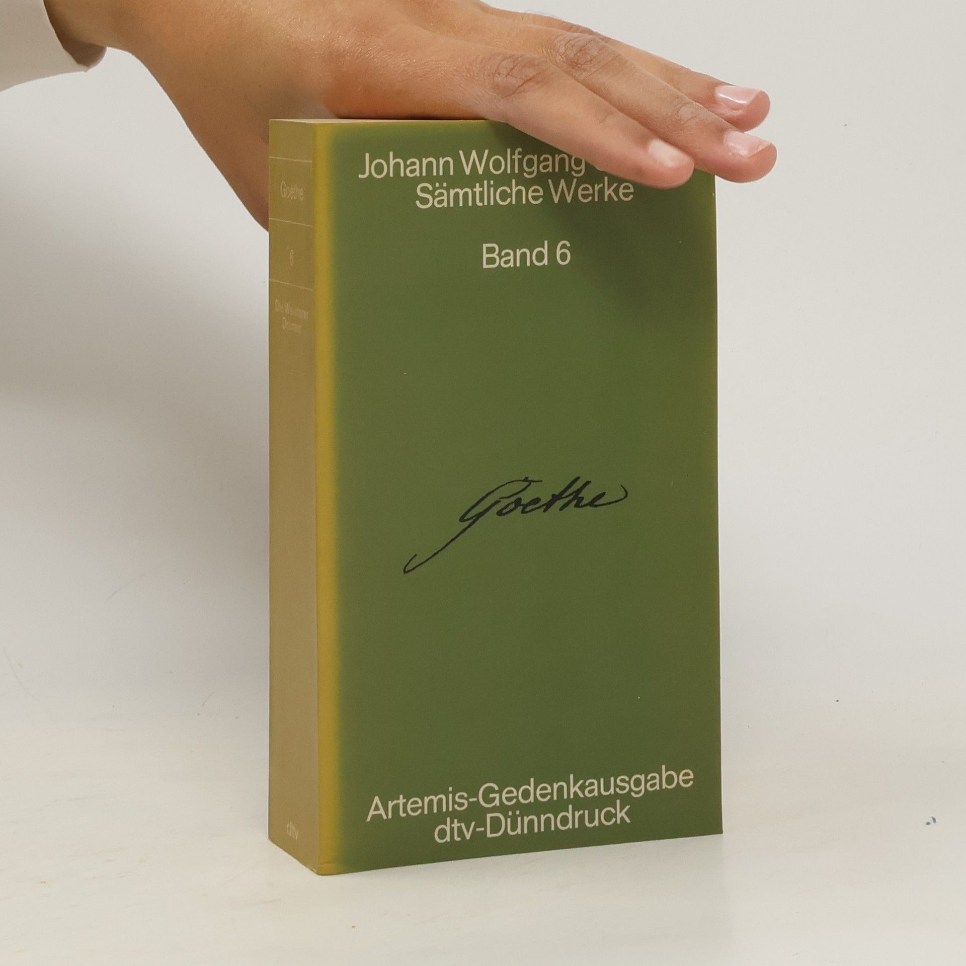 Johann Wolfgang von Goethe Sämtliche Werke 6