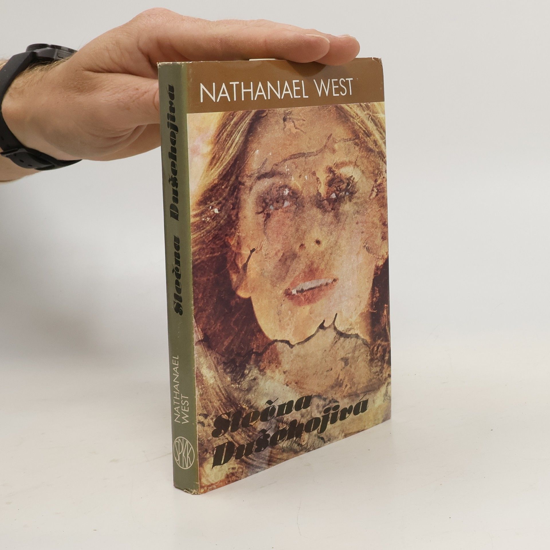 Nathanael West Slečna Dušehojivá