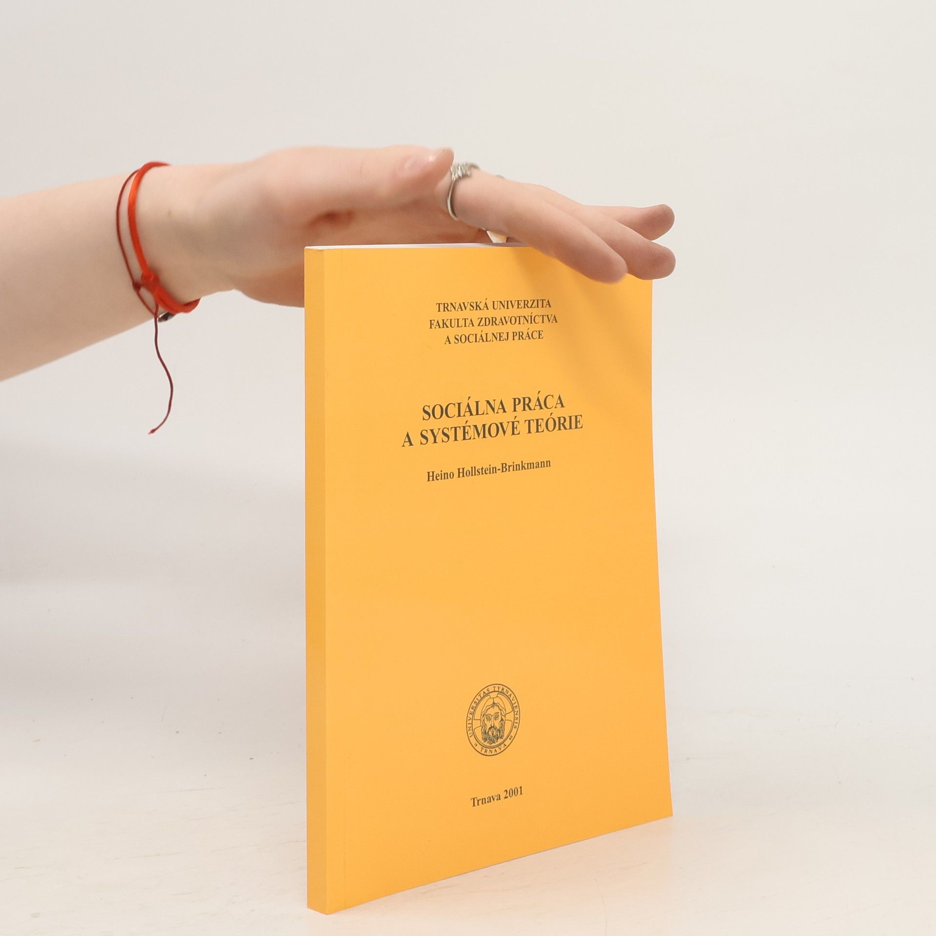 Heino Hollstein Brinkmann Sociálna práca a systémové teórie