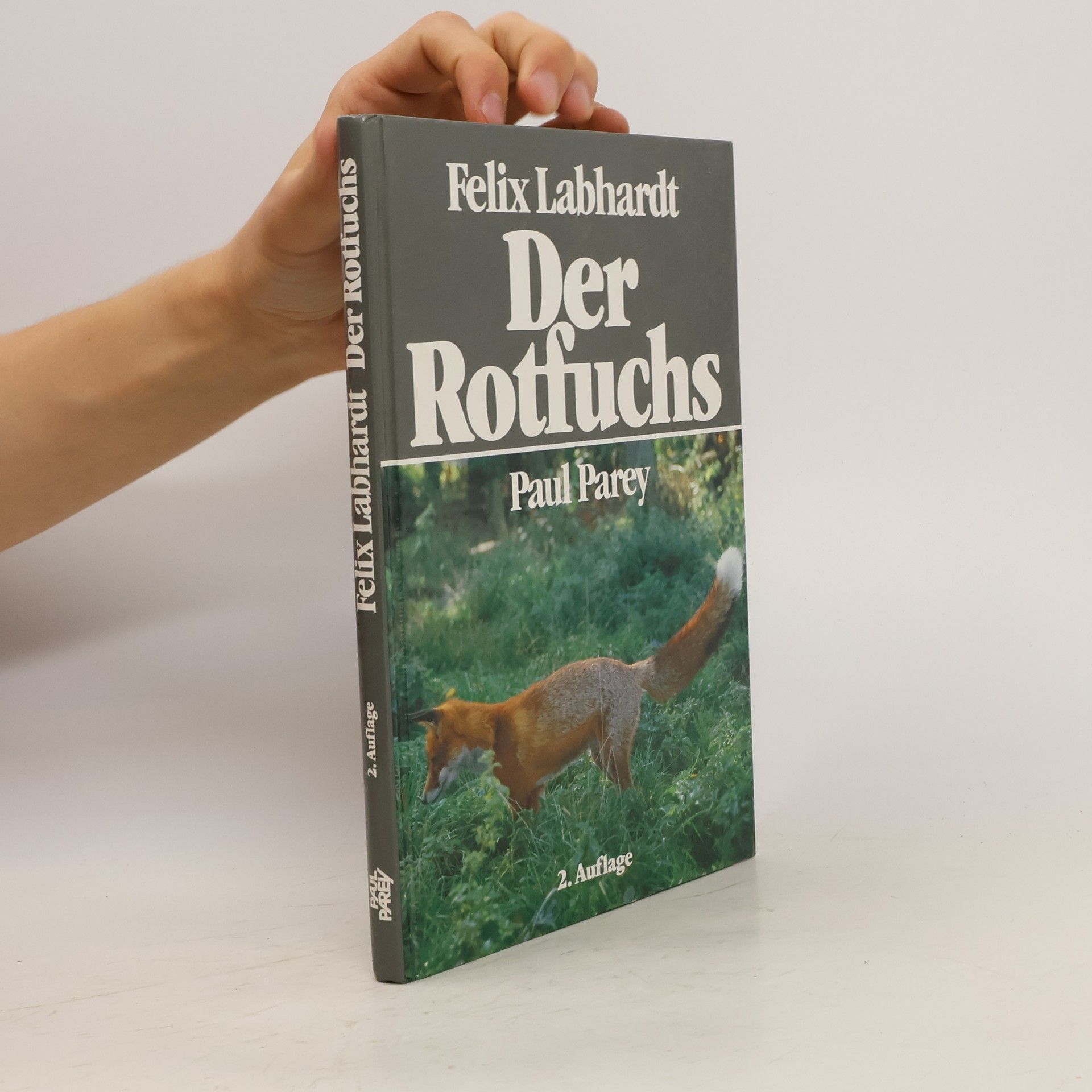 Felix Labhardt Der Rotfuchs