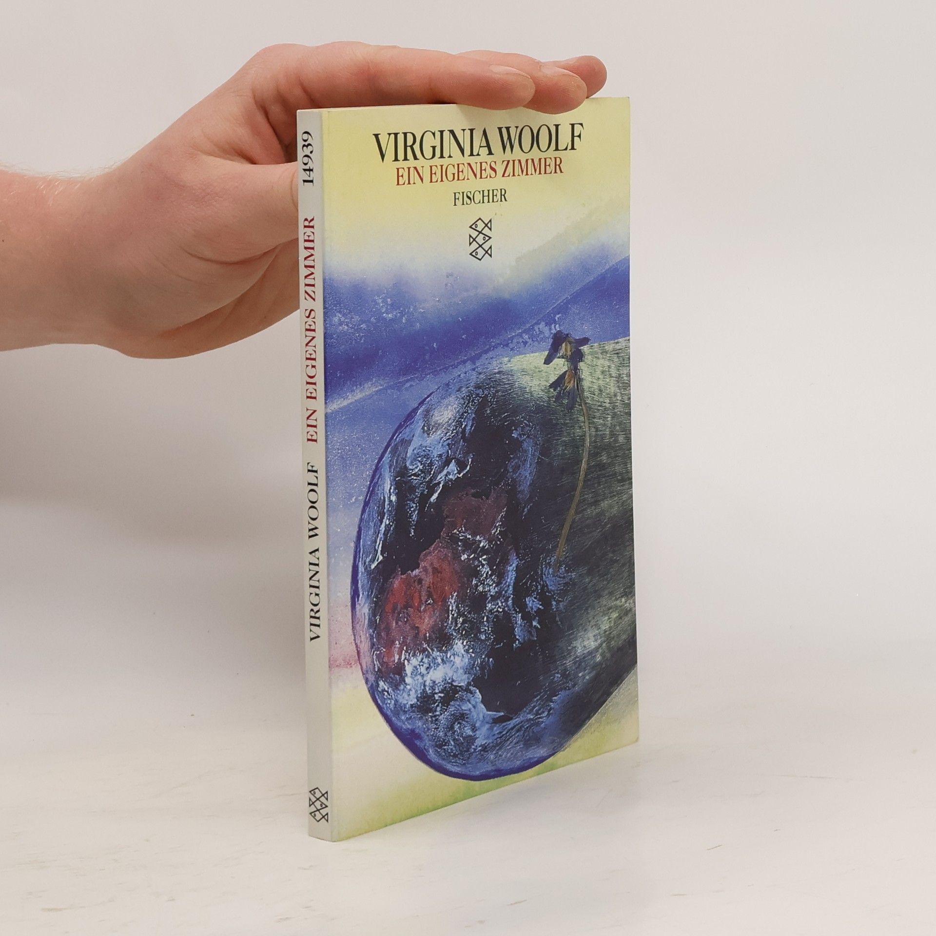 Virginia Woolf Ein eigenes Zimmer