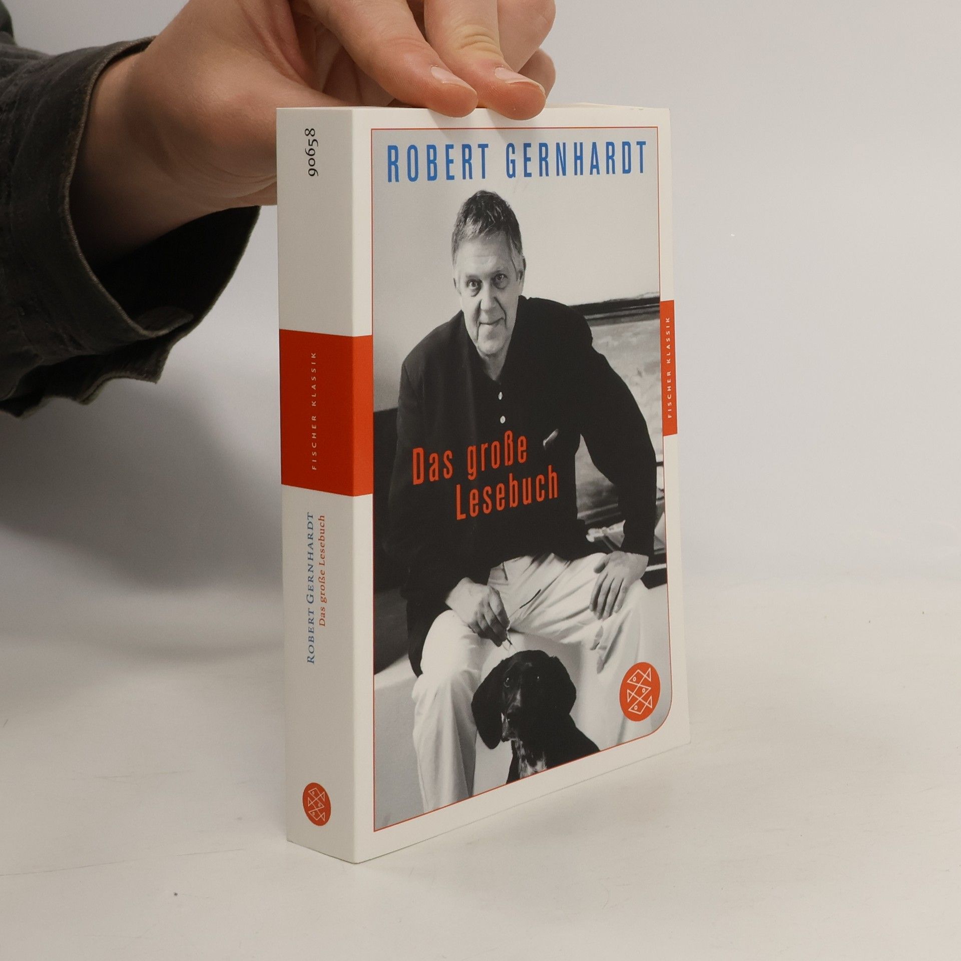Robert Gernhardt Das große Lesebuch