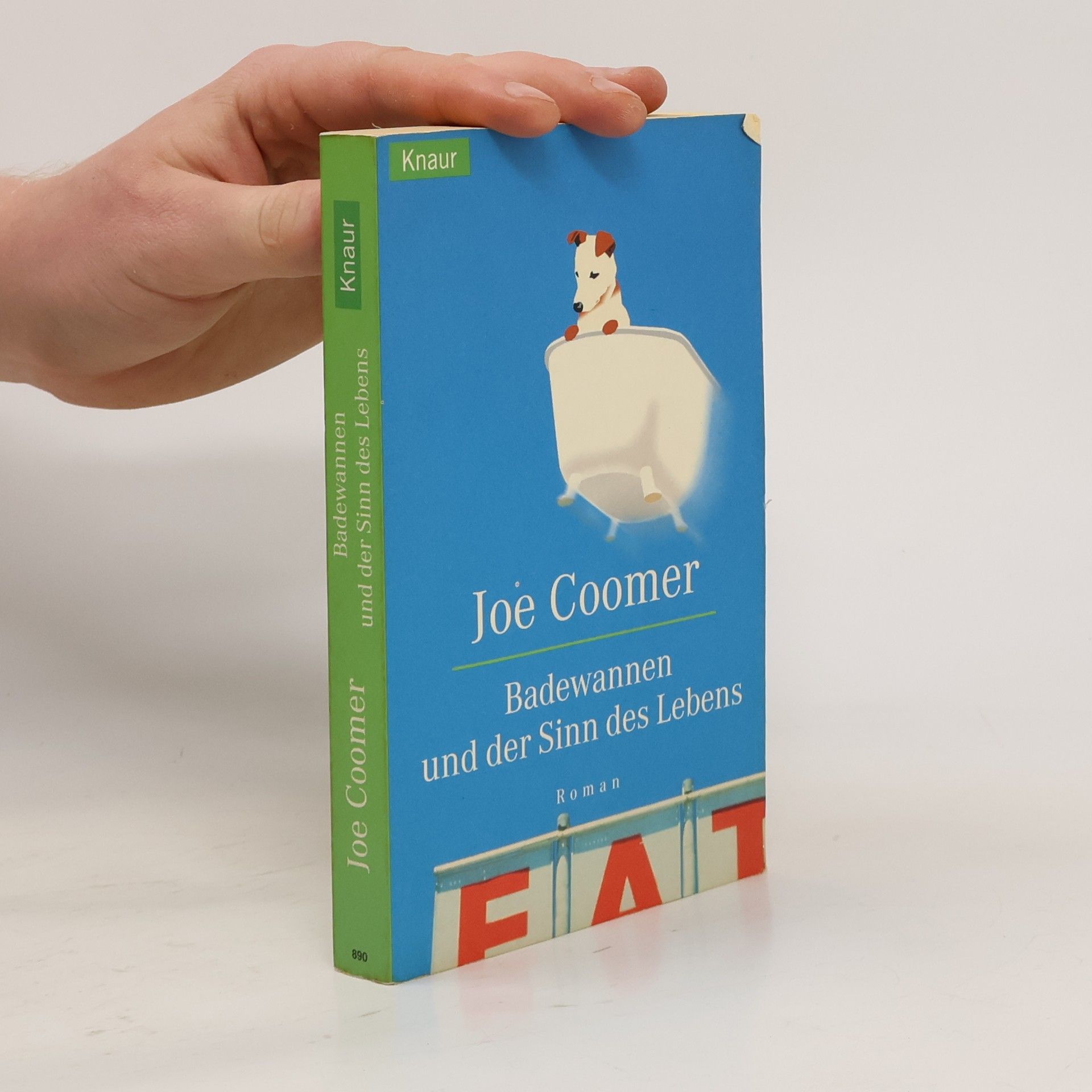 Joe Coomer Badewannen und der Sinn des Lebens