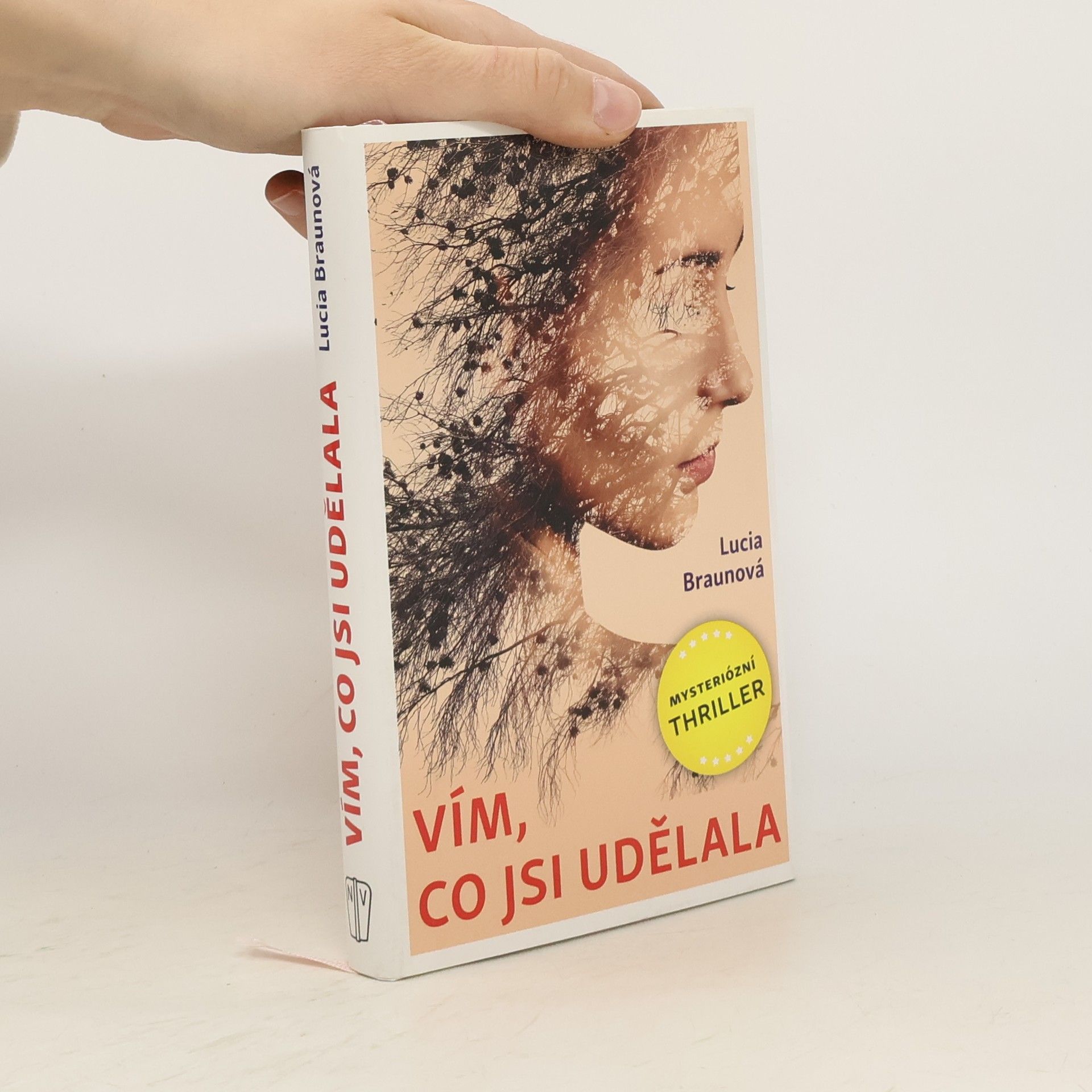 Lucia Braunová Vím, co jsi udělala