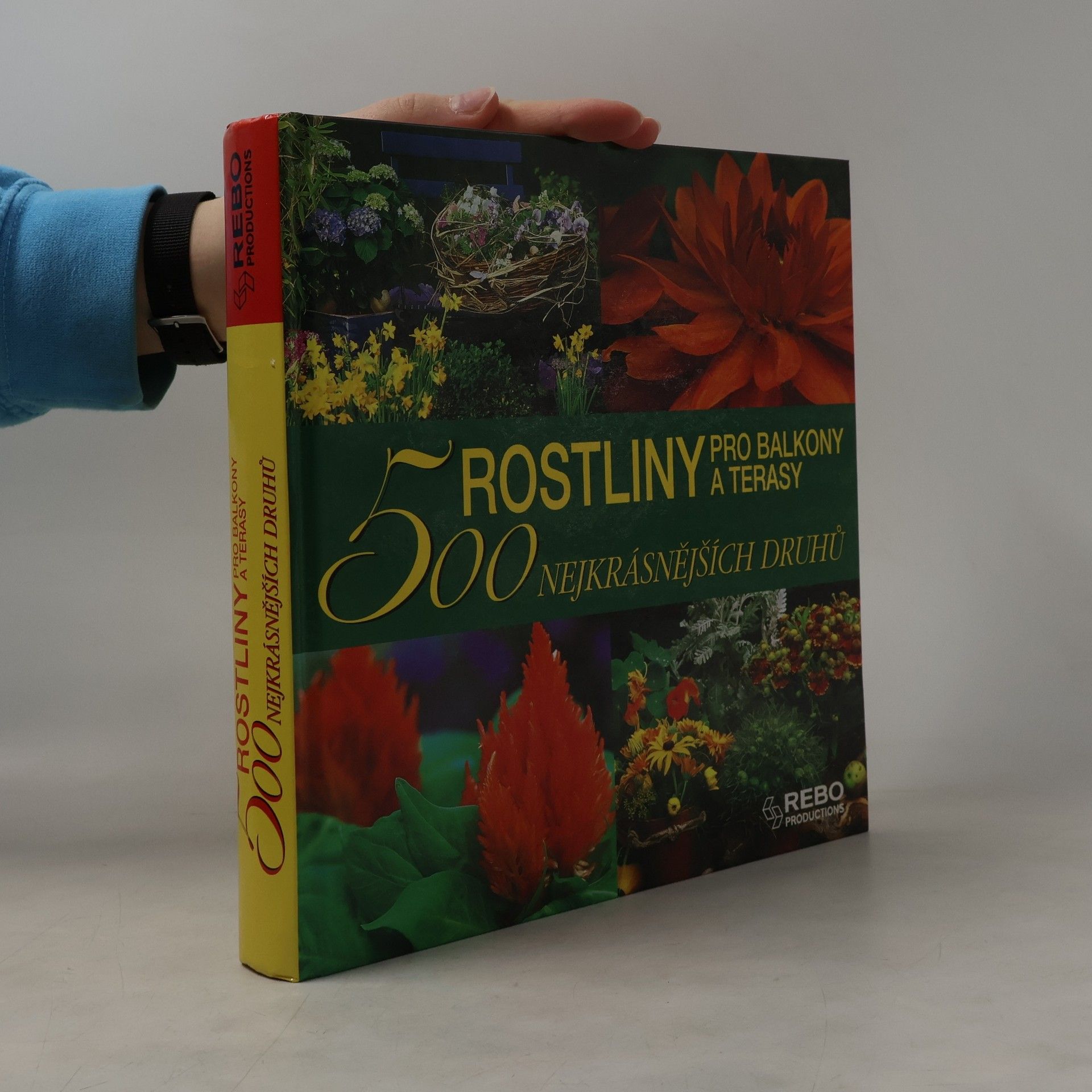 Andrea Rausch Rostliny pro balkony a terasy