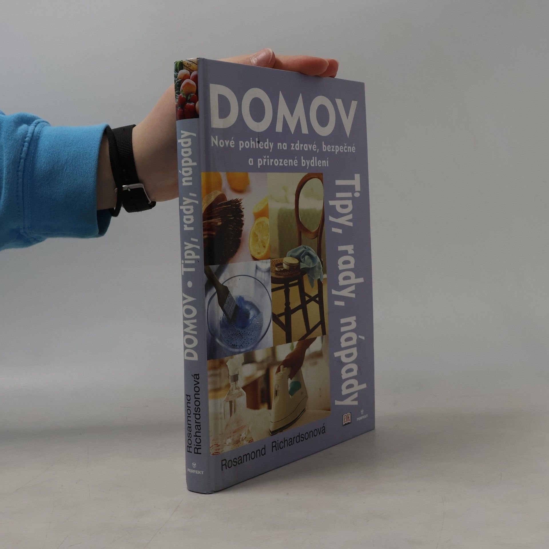 Rosamond Richardson Domov: Nové pohledy na zdravé, bezpečné a přirozené bydlení : tipy, rady, nápady