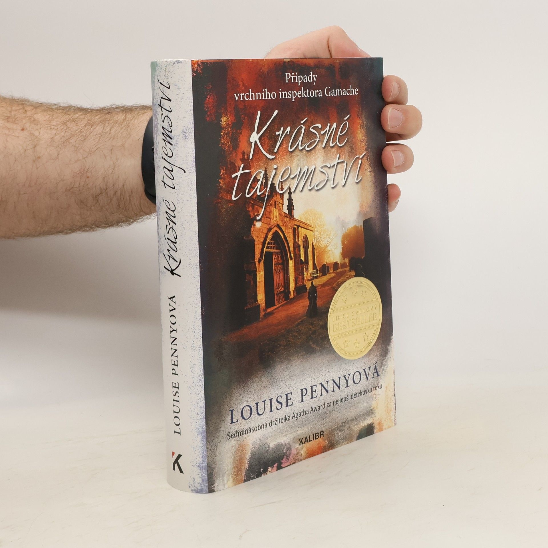 Louise Penny Krásné tajemství