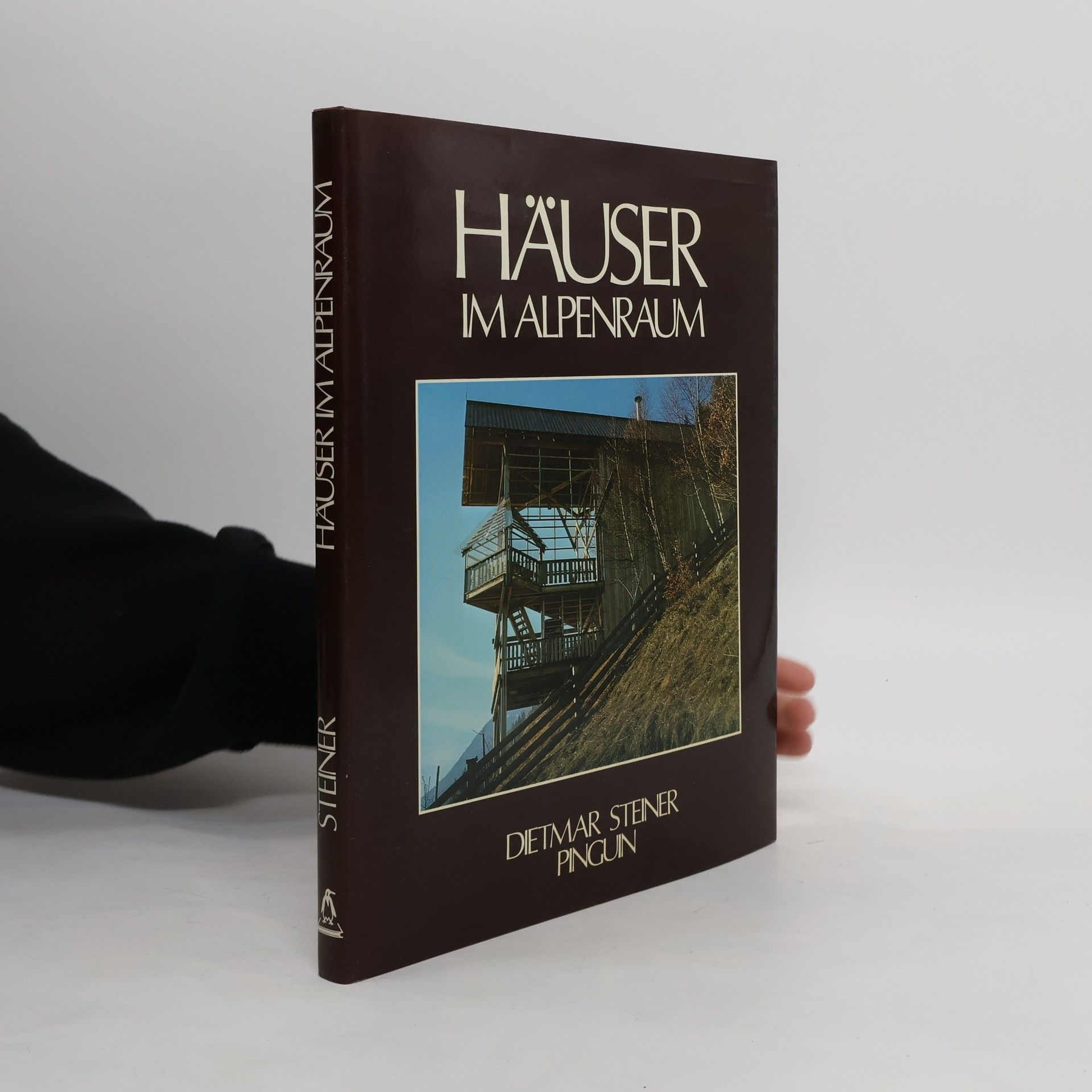 Dietmar Steiner Häuser im Alpenraum
