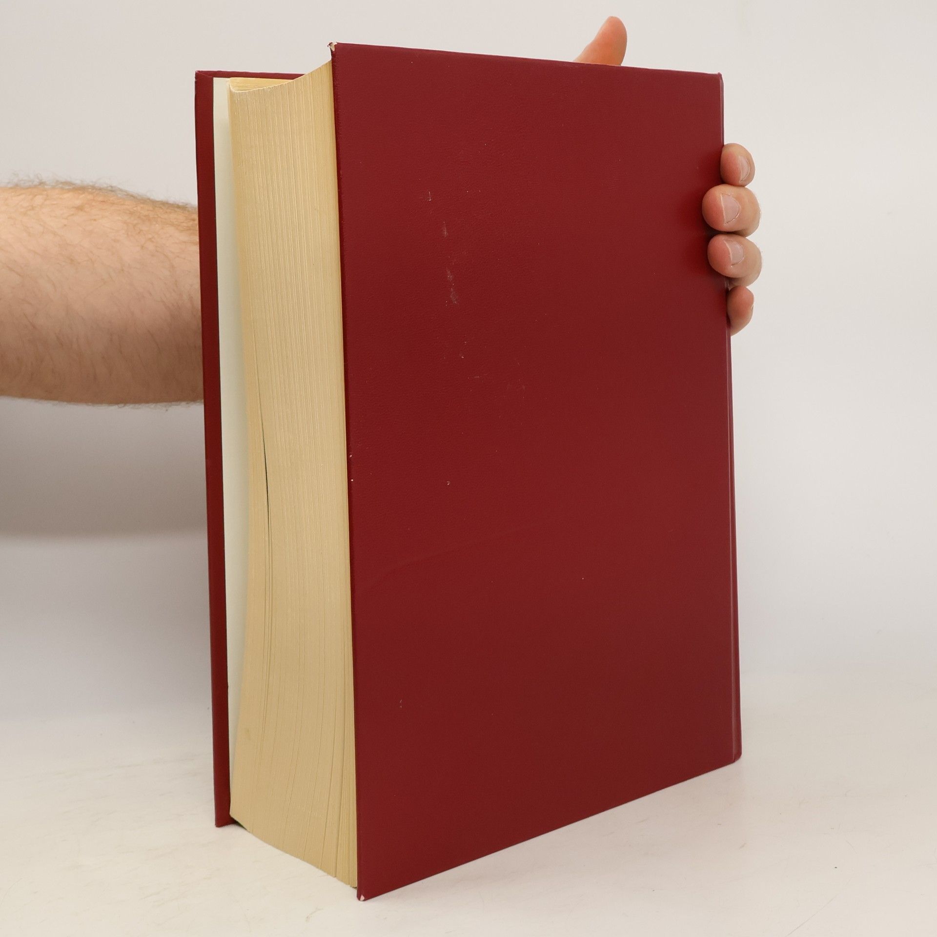 Autorenkollektiv Die Bibel