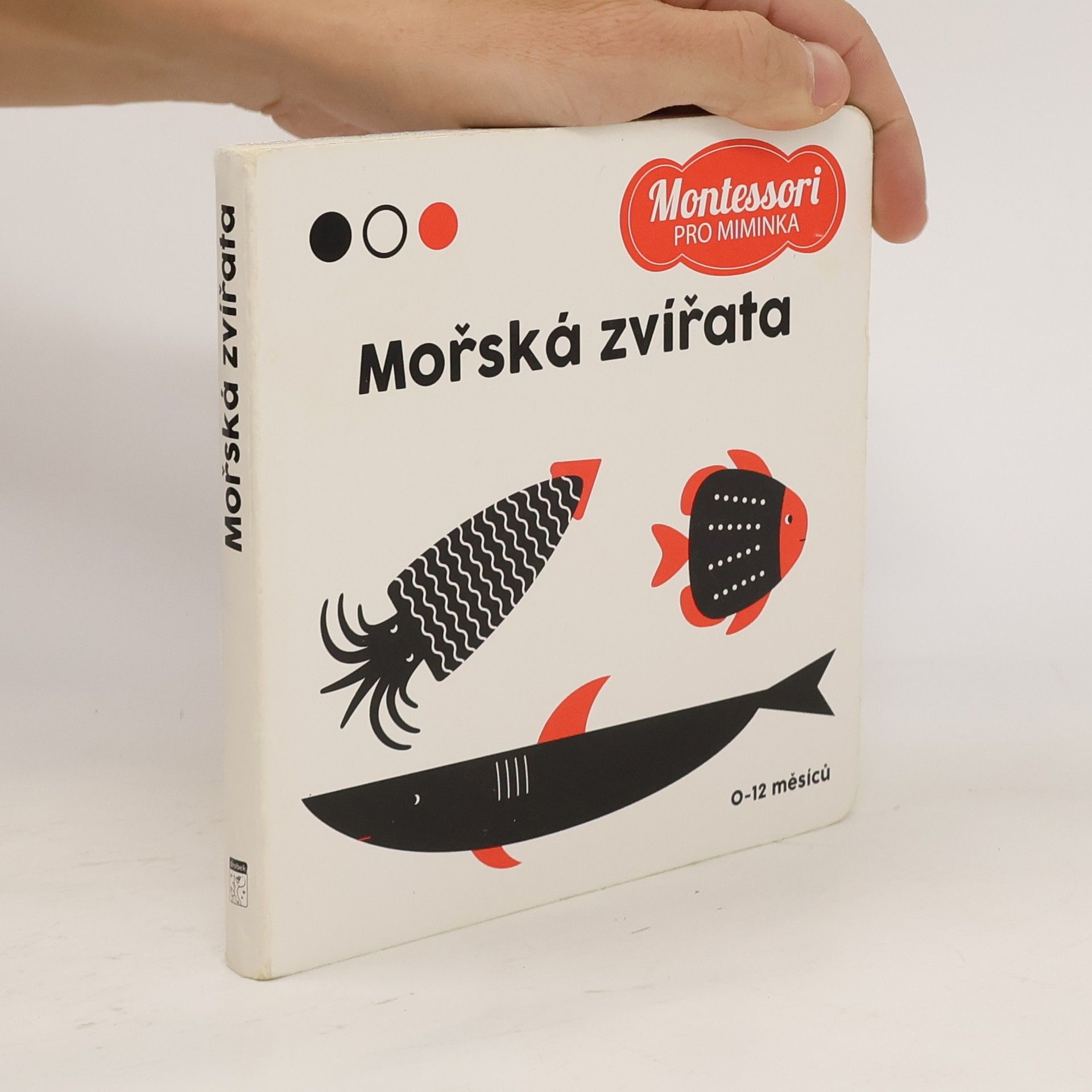 Agnese Baruzzi Mořská zvířata