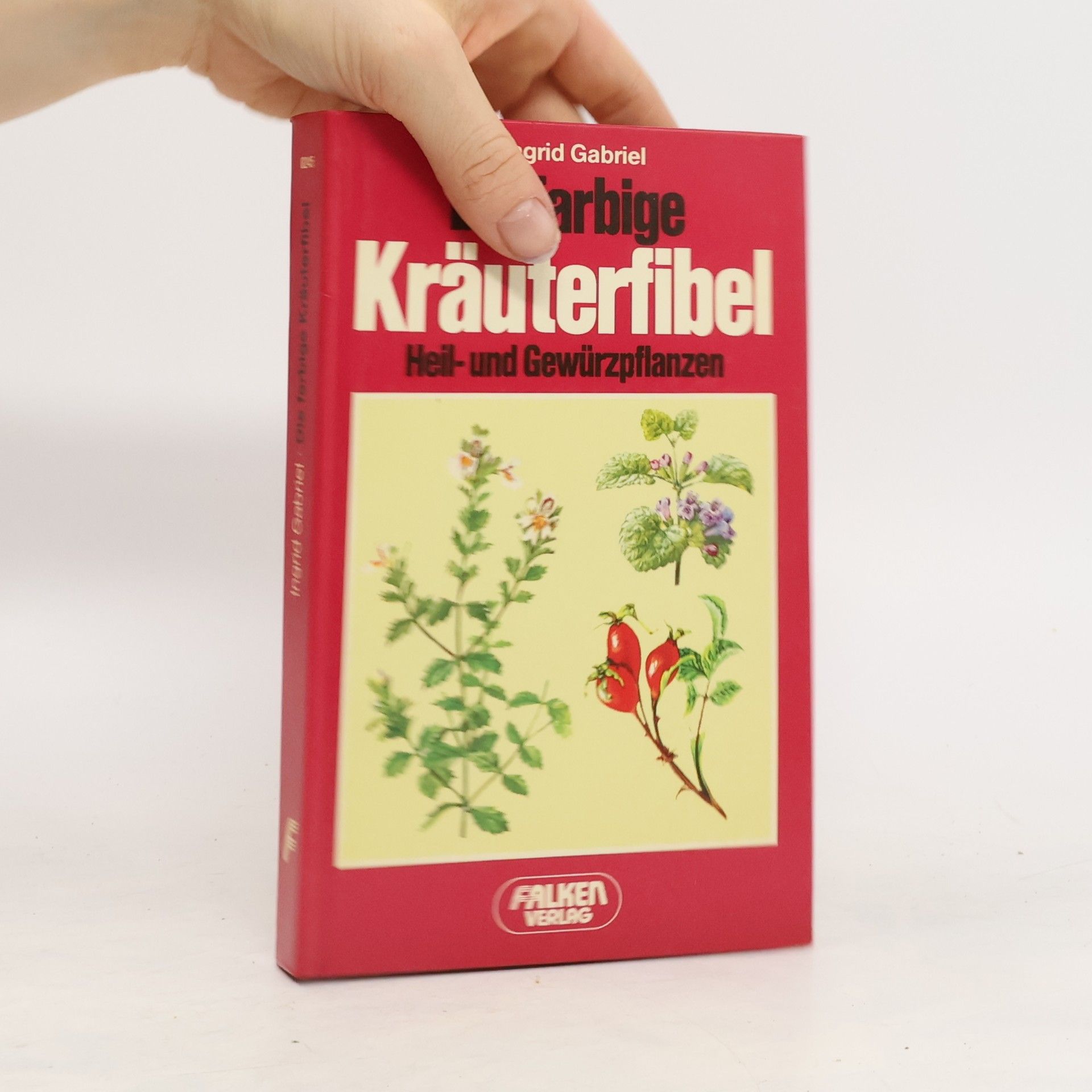 Ingrid Gabriel Die farbige Kräuterfibel