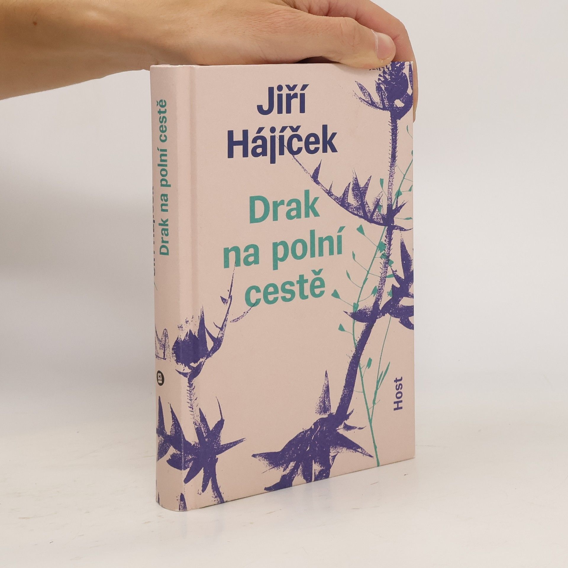 Jiří Hájíček Drak na polní cestě